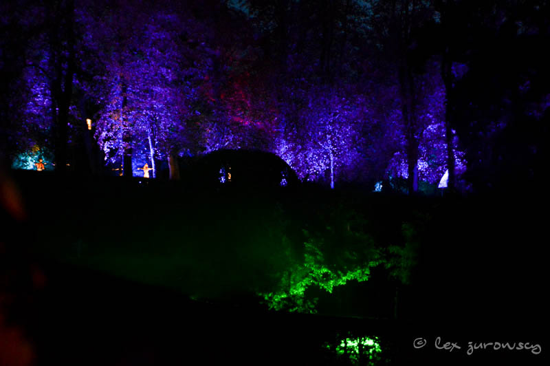 Sigma 28-300mm F3.5-6.3 DG Macro sample photo. The dark garden at alnwick photography