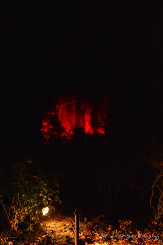 Sigma 28-300mm F3.5-6.3 DG Macro sample photo. The dark garden at alnwick photography