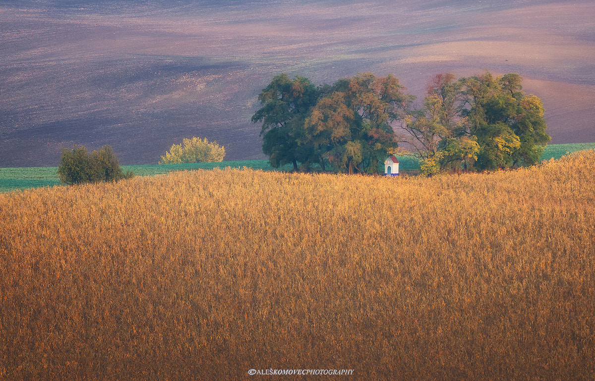 Olympus OM-D E-M1 sample photo. St.barbara in autumn photography