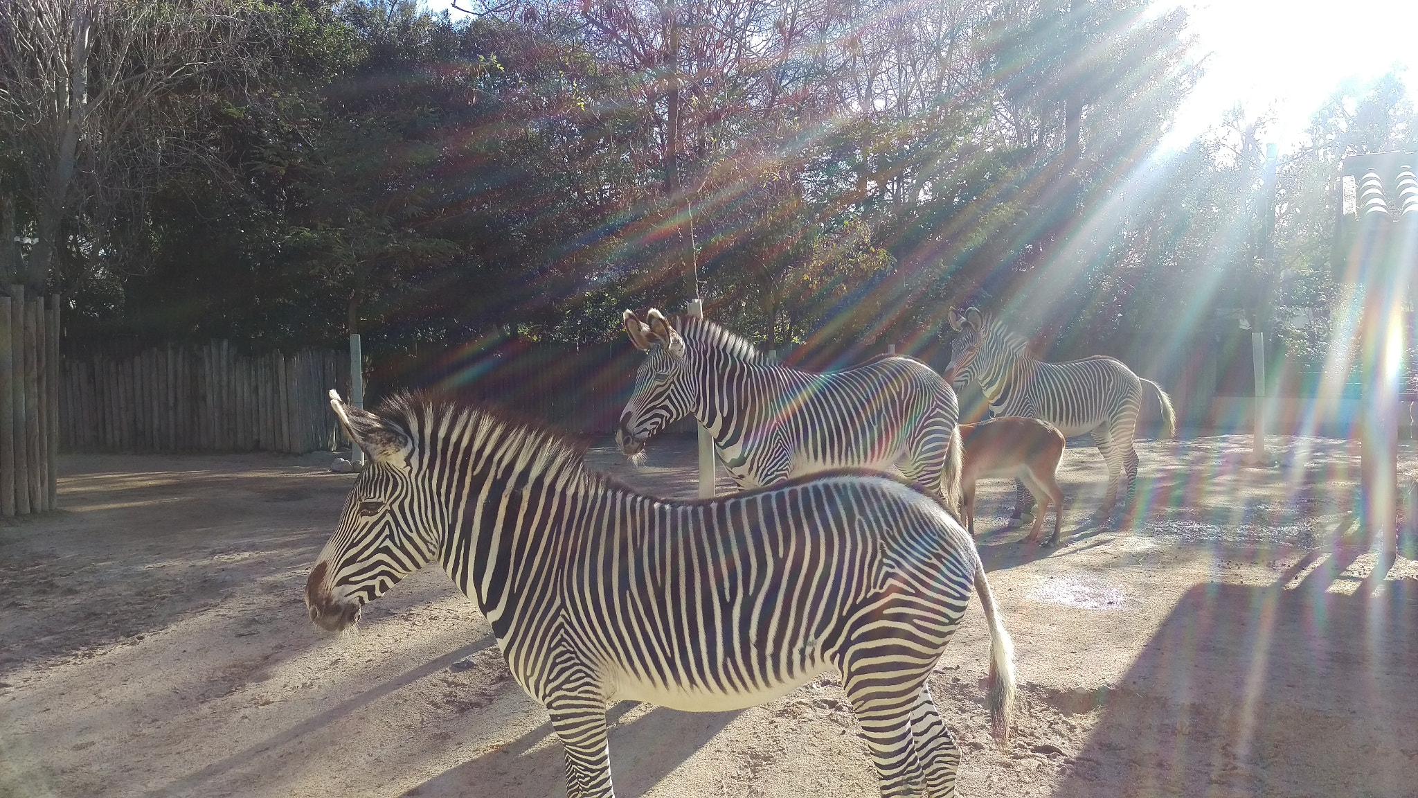 HTC M9 sample photo