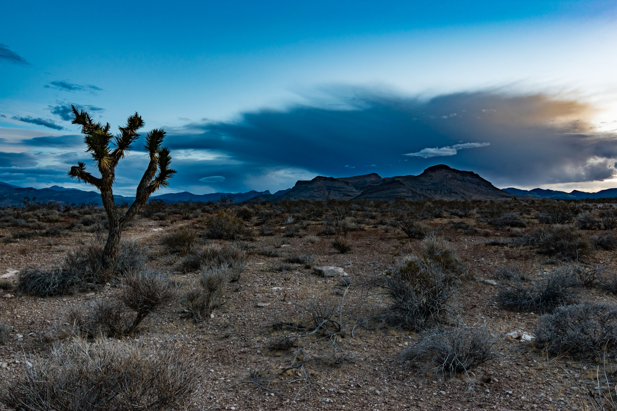 Nikon D5500 + Tokina AT-X 11-20 F2.8 PRO DX (AF 11-20mm f/2.8) sample photo. Desert landscape in nevada photography