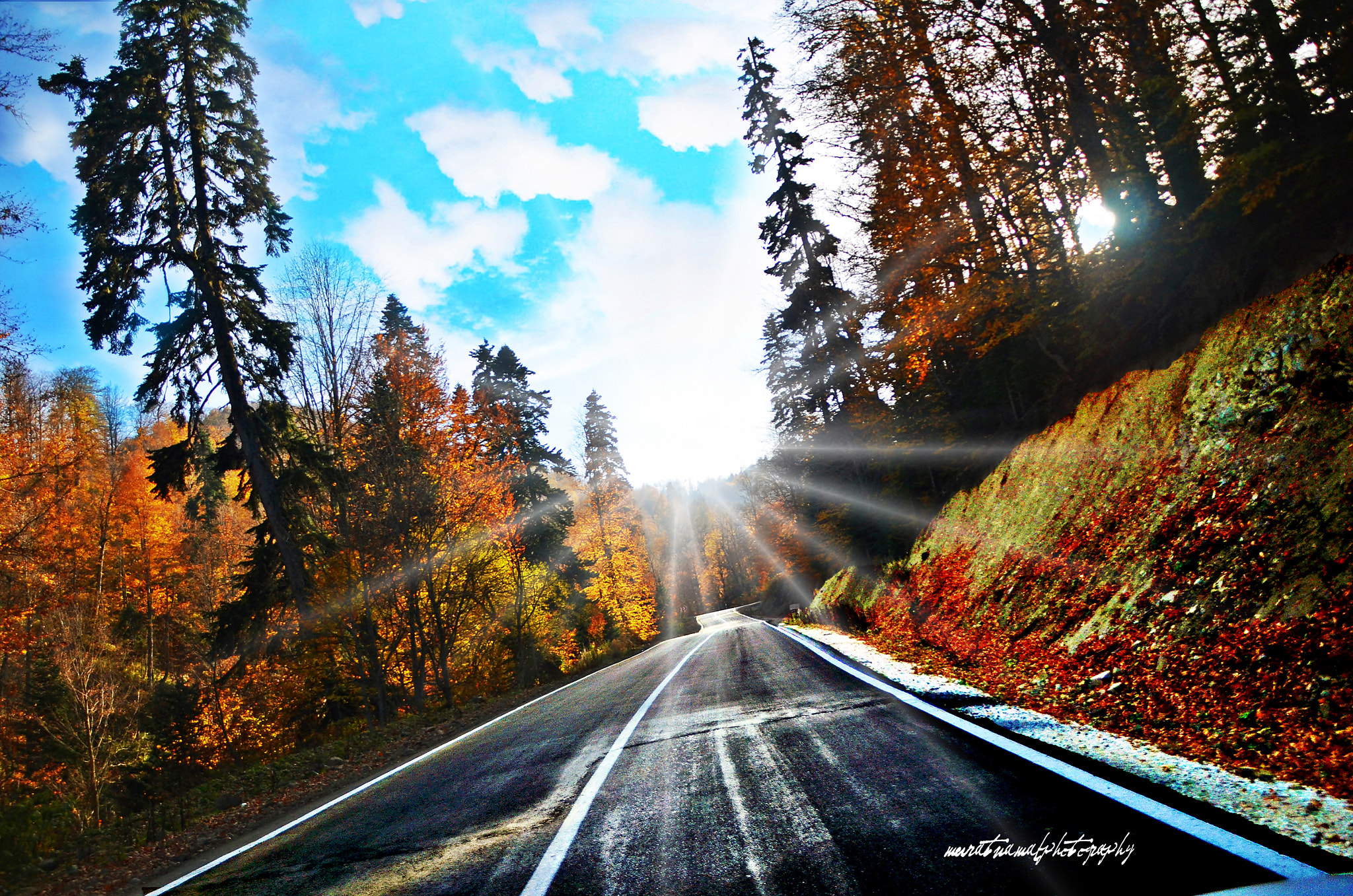 Nikon D7000 sample photo. Road photography