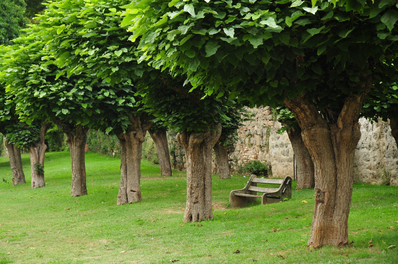 Nikon D300S sample photo. St antonin noble val, tarn et garonne photography