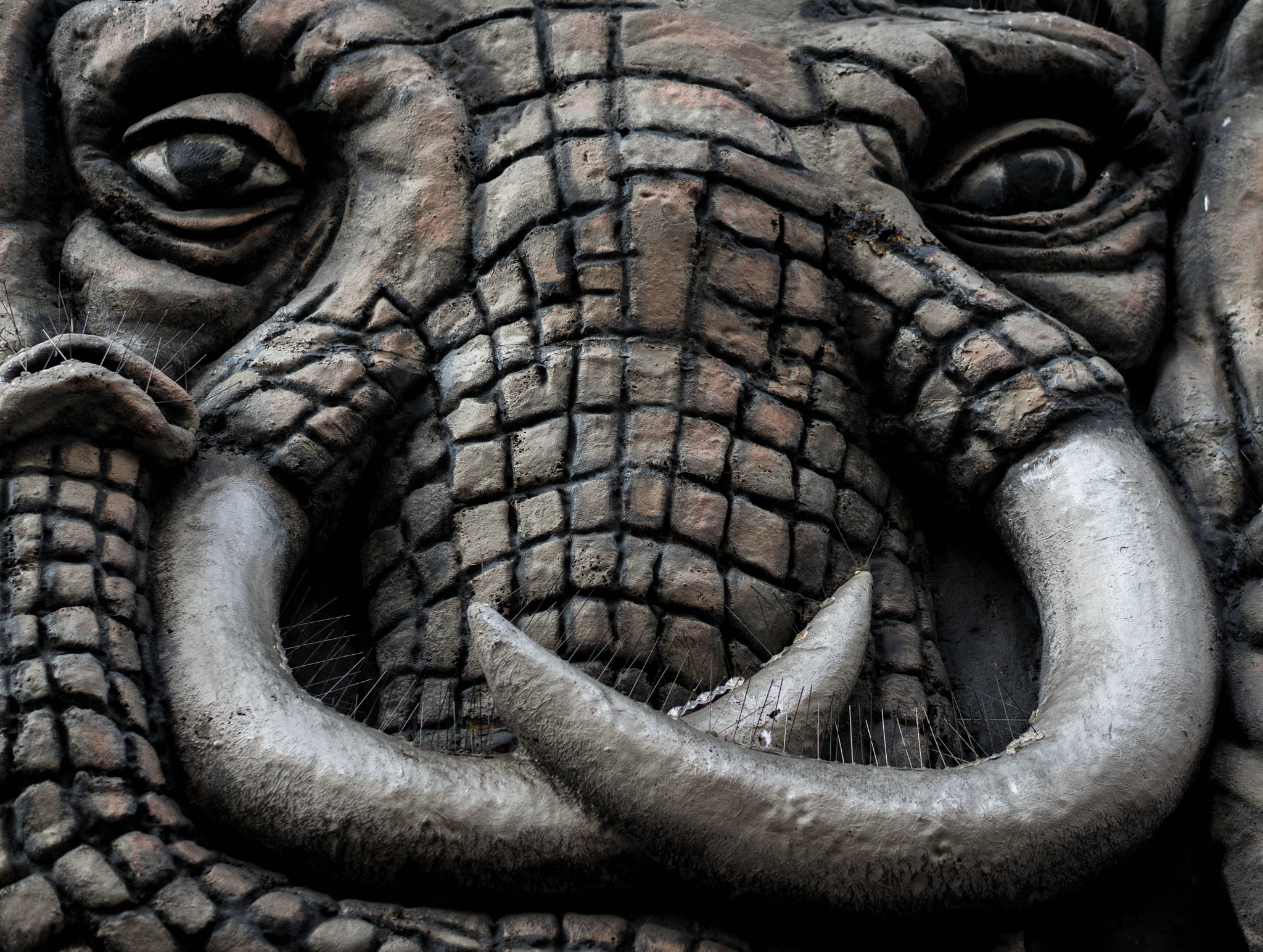 Sony Alpha NEX-5R sample photo. The elephant's gaze photography