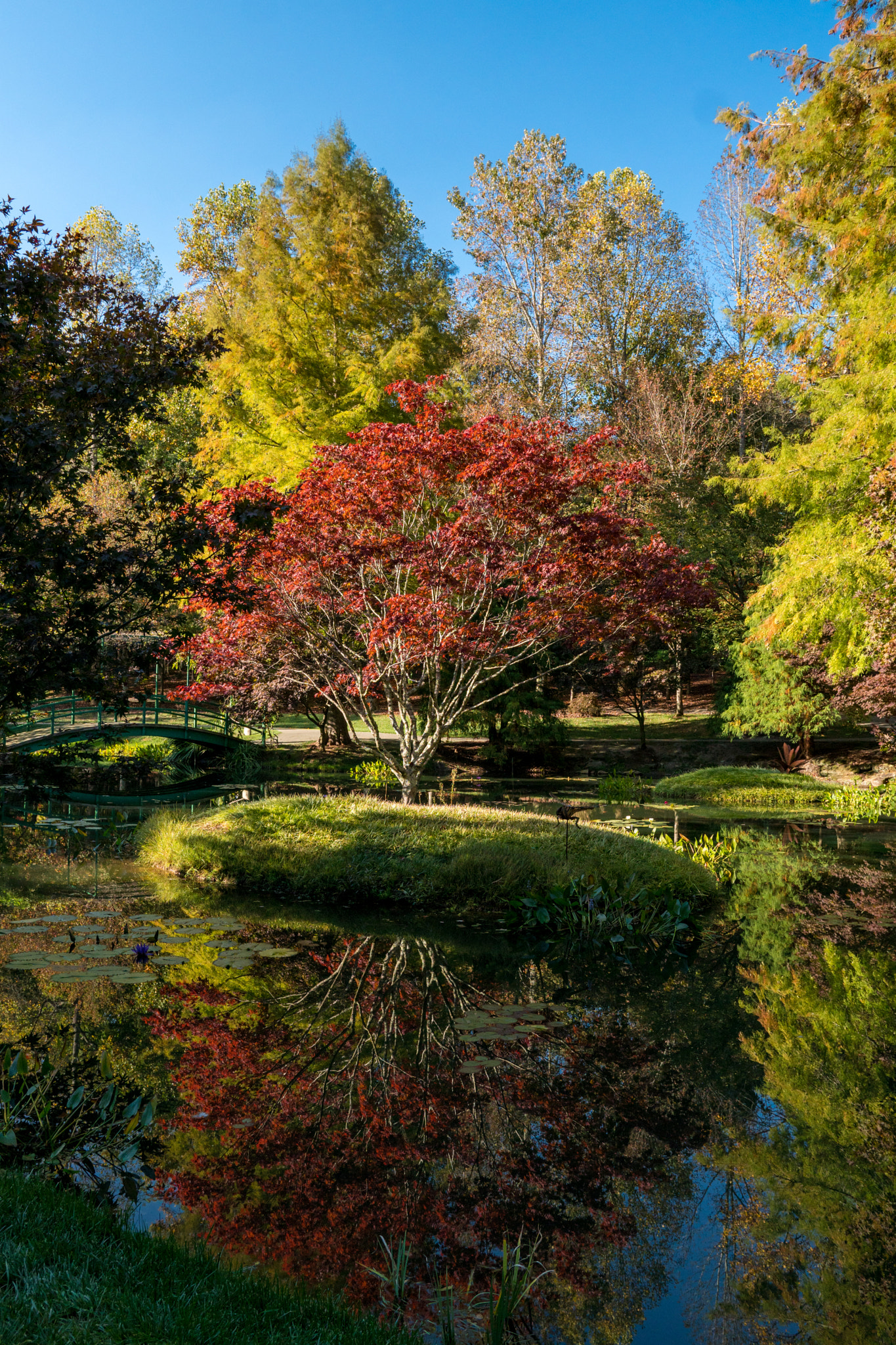 Sony a6300 + 18-35mm F1.8 DC HSM | Art 013 sample photo. Autumn reflections photography