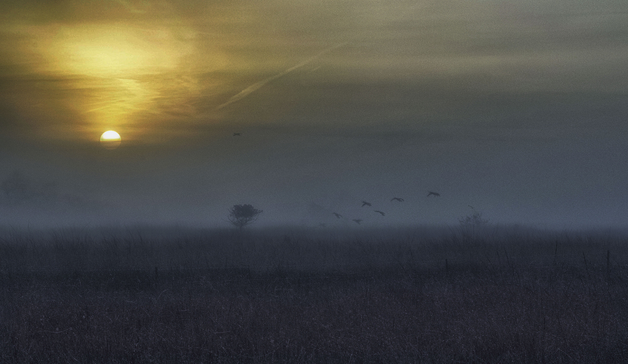 EF28-70mm f/2.8L USM sample photo. Moor in the mist photography