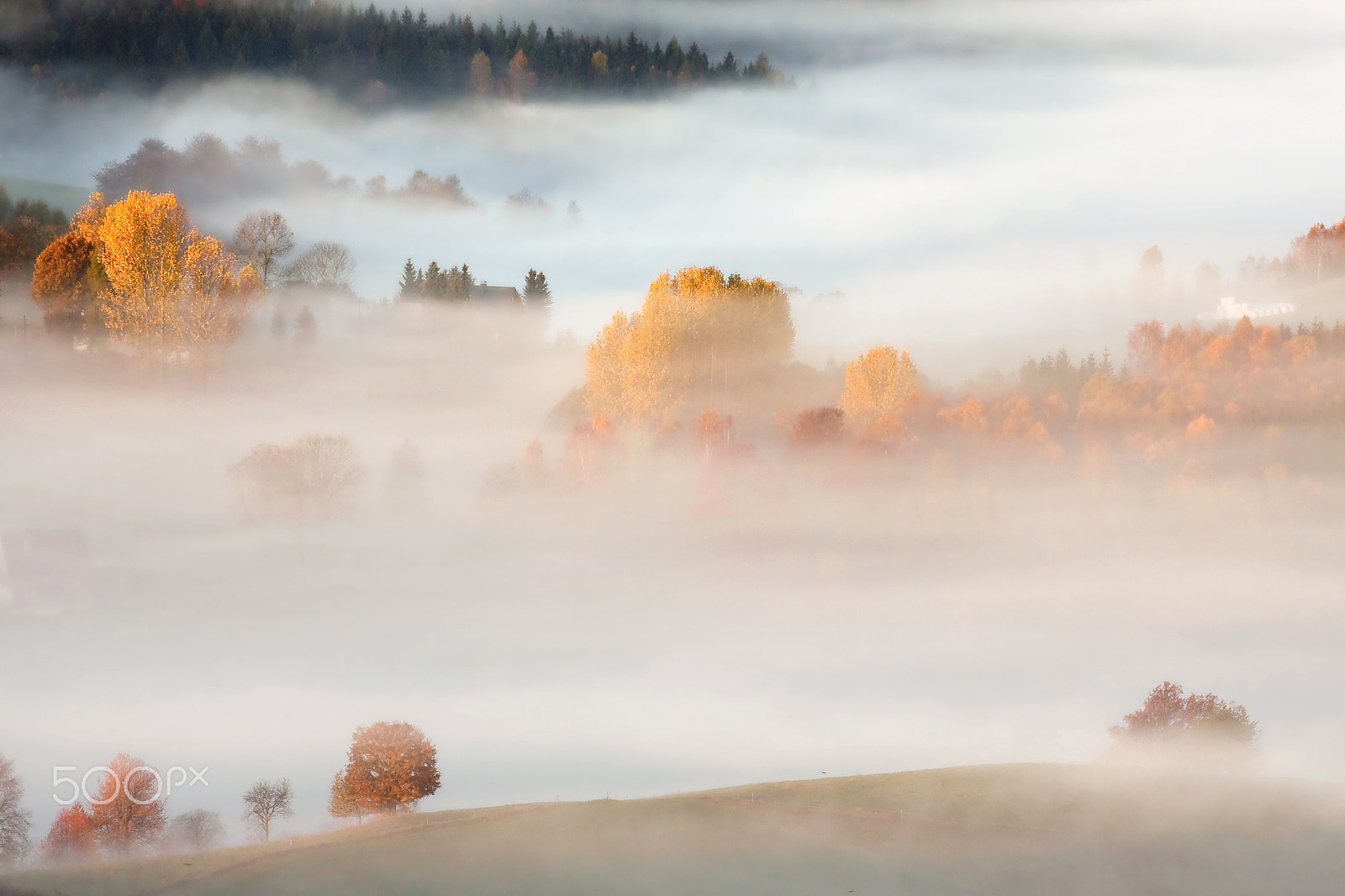 Canon EOS 50D + Canon EF 70-200mm F4L USM sample photo. Autumn dream photography