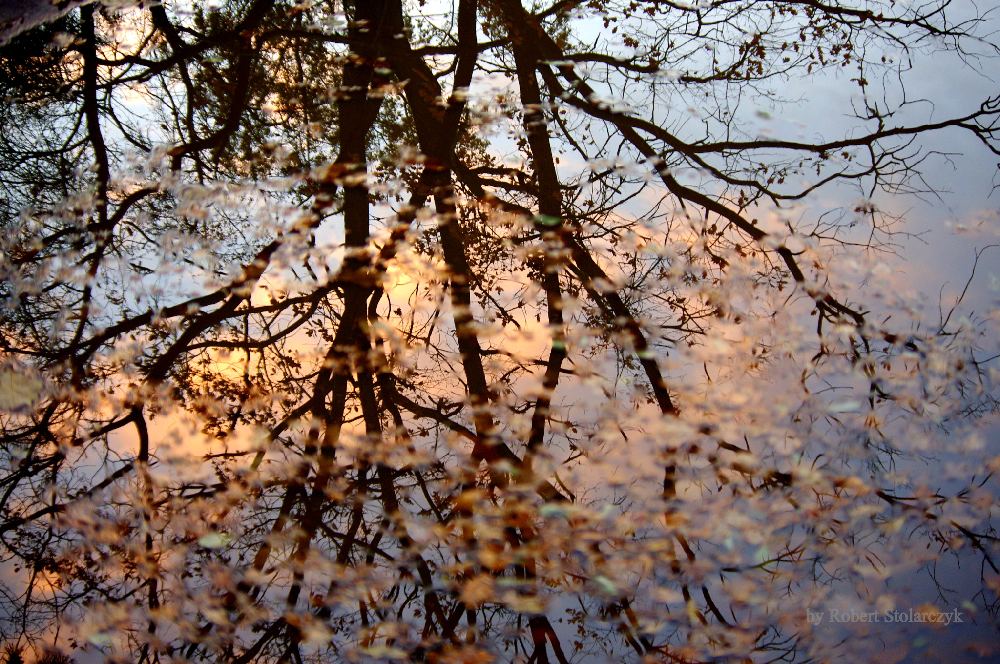 smc PENTAX-DA L 50-200mm F4-5.6 ED sample photo. The puddle reflection photography