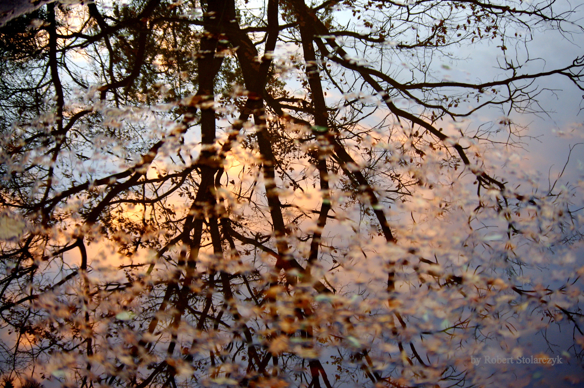 Pentax K-x sample photo. The puddle reflection photography