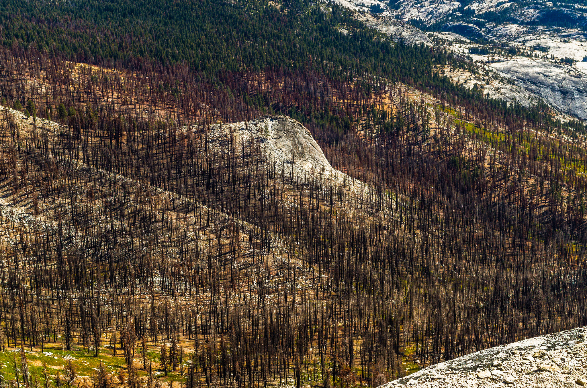 Pentax K-50 sample photo. After the fire photography