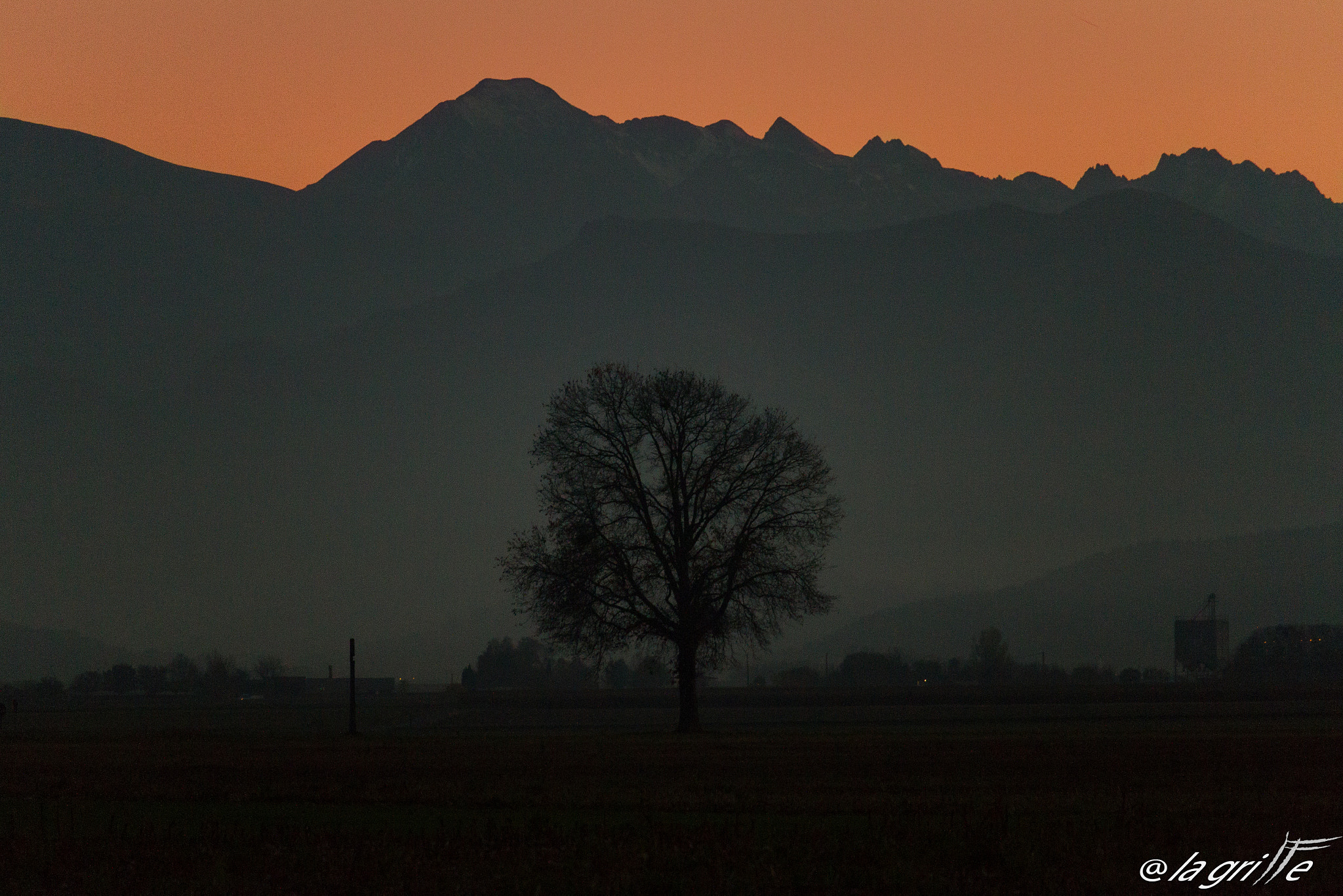 Canon EF-S 55-250mm F4-5.6 IS STM sample photo. The tree of life photography