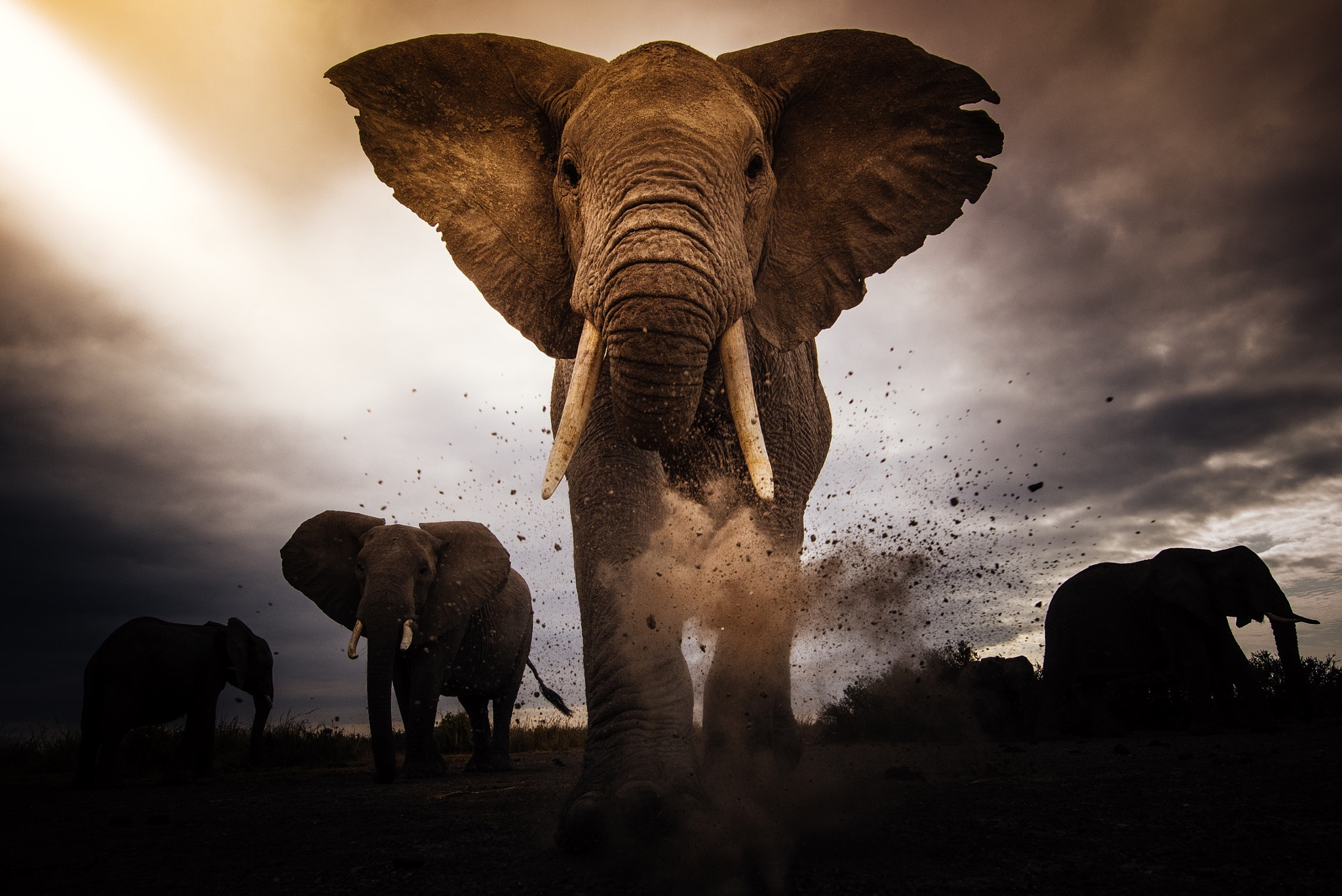 Nikon AF-S Nikkor 14-24mm F2.8G ED sample photo. Please support the tusk new york marathon team at  ... photography