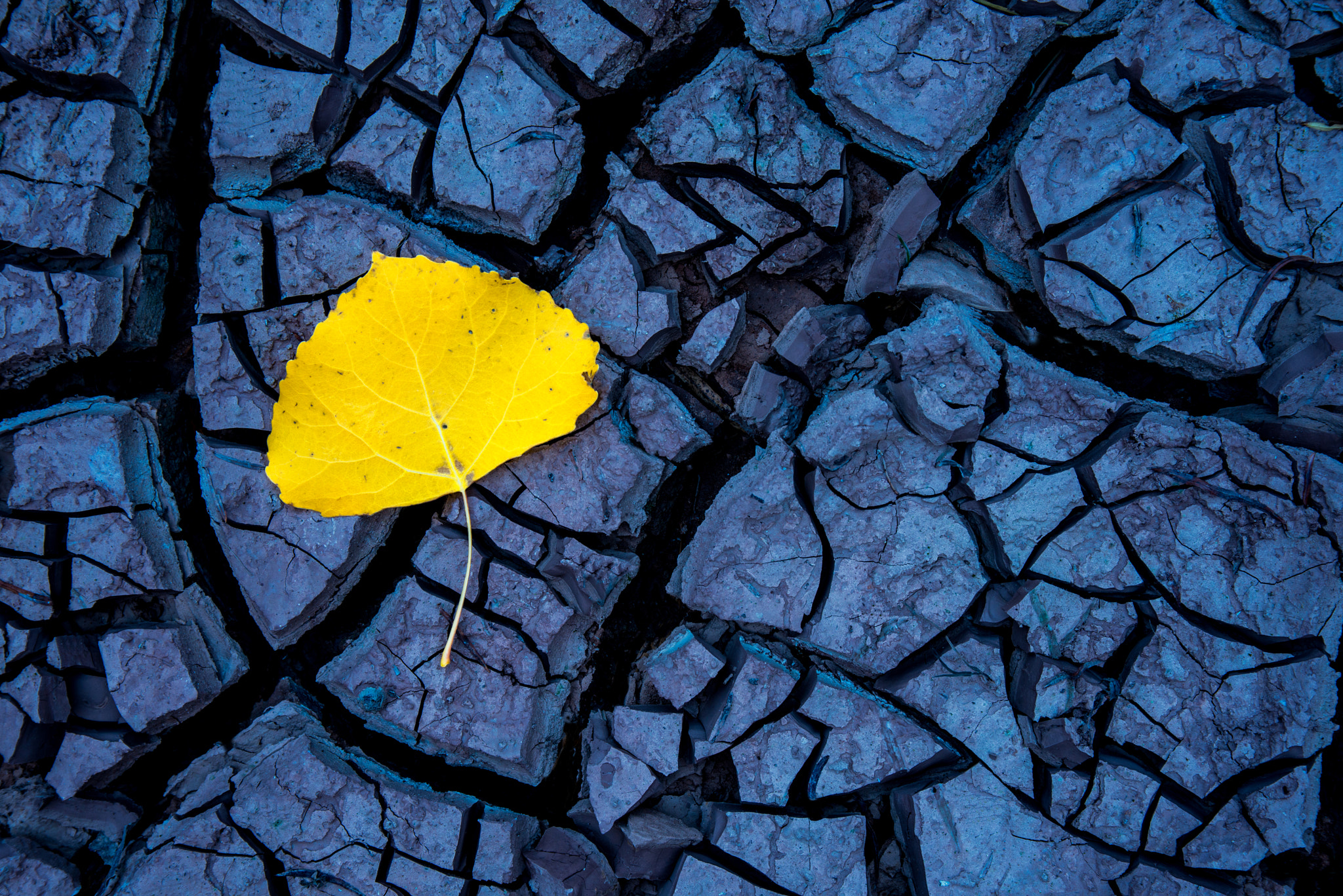 Nikon D800 sample photo. Fractured photography