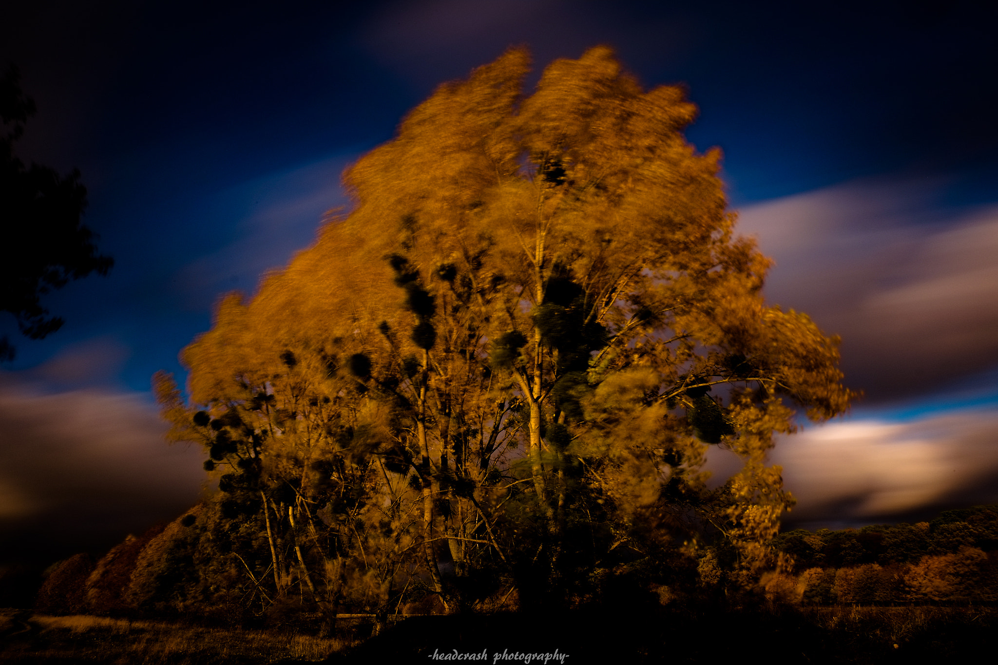 Fujifilm XC 16-50mm F3.5-5.6 OIS II sample photo. Wild thing photography