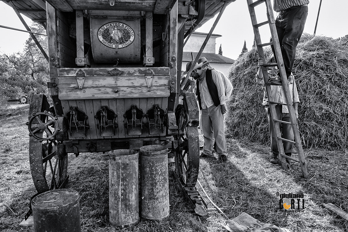 Fujifilm X-Pro2 + Fujifilm XF 18-135mm F3.5-5.6 R LM OIS WR sample photo. Battitura del grano, grani antichi di montespertoli, © giuliano photography