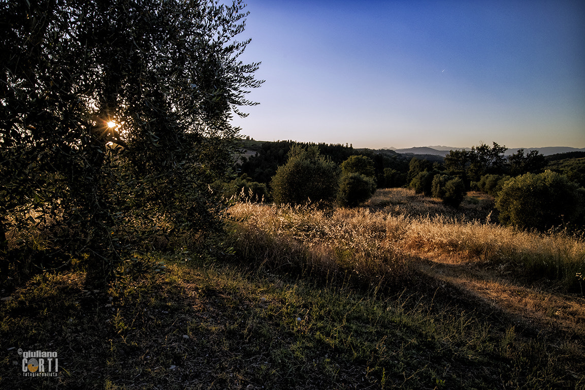 Canon EOS M3 + Canon EF-M 11-22mm F4-5.6 IS STM sample photo. Tramonto nel paesello con gabbiano photography