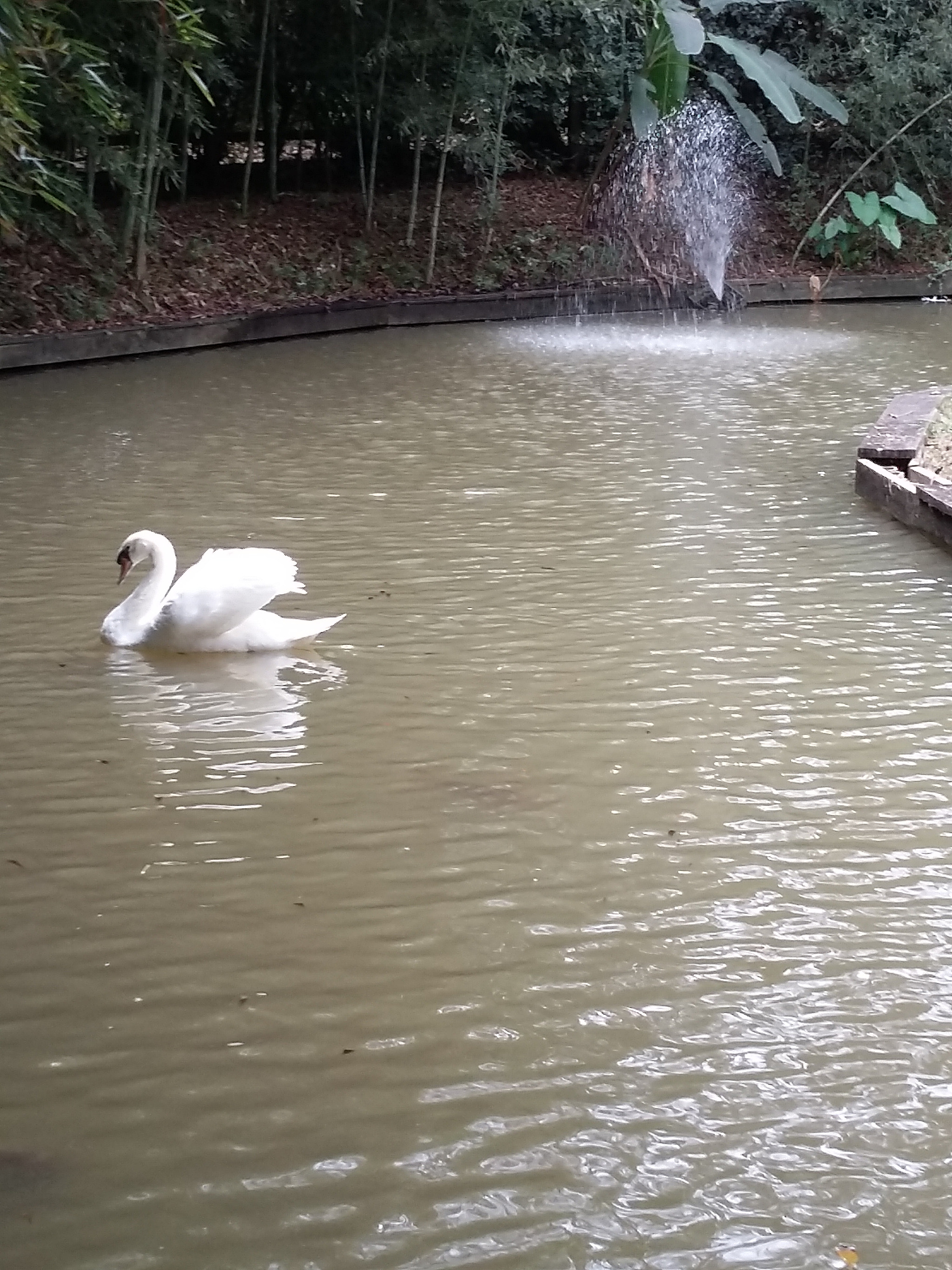 Samsung Galaxy Go Prime sample photo