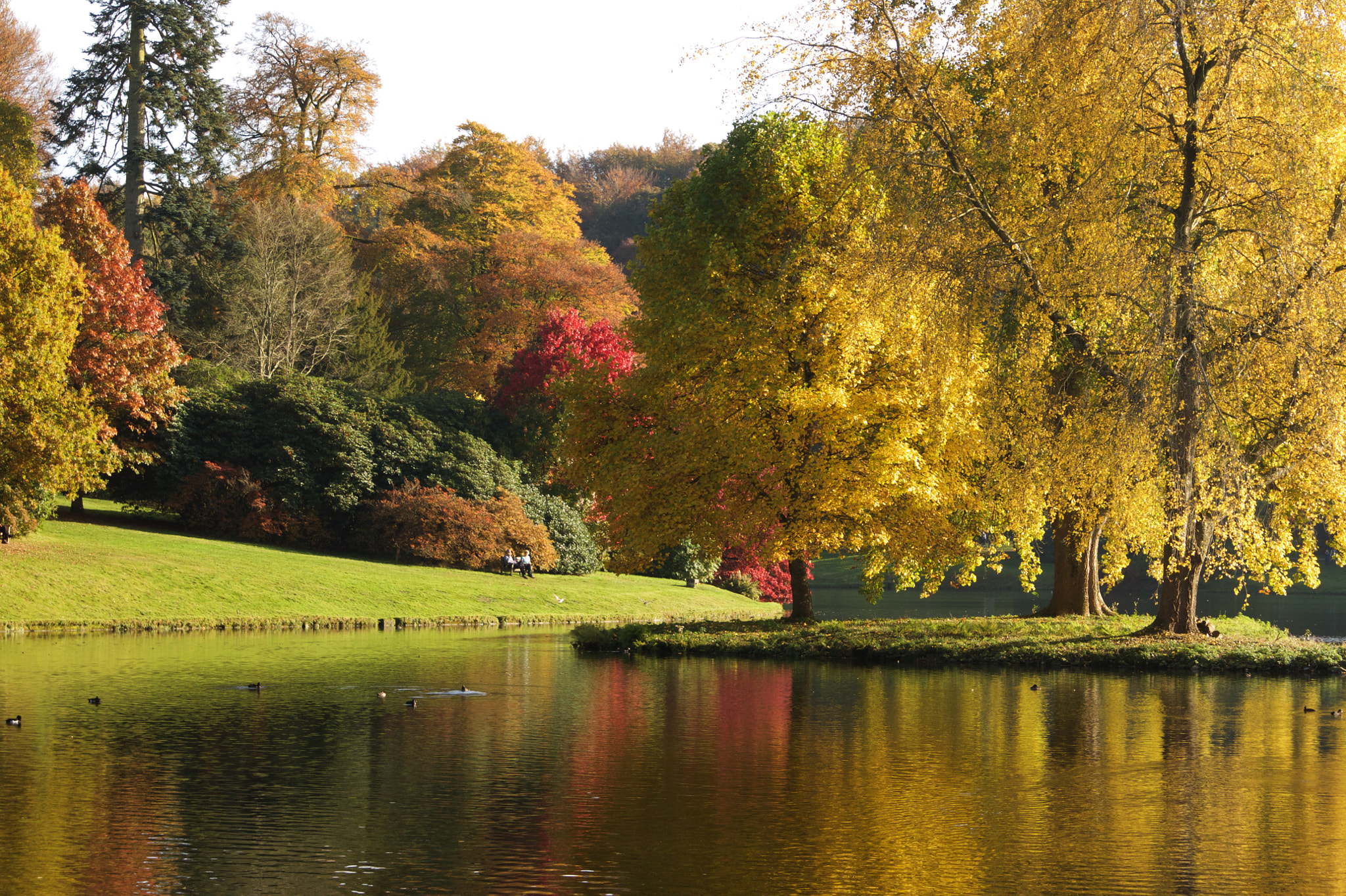 Sony Alpha DSLR-A700 sample photo. Autumnal stourhead photography
