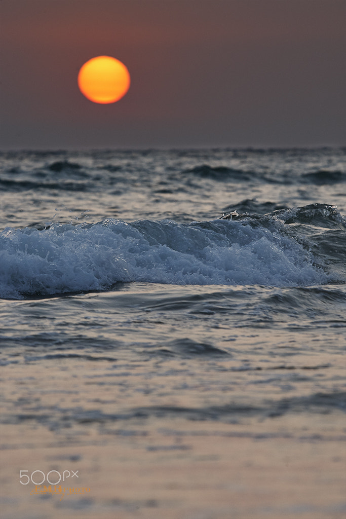 Canon EF 100-400mm F4.5-5.6L IS USM sample photo. Luz de cádiz photography