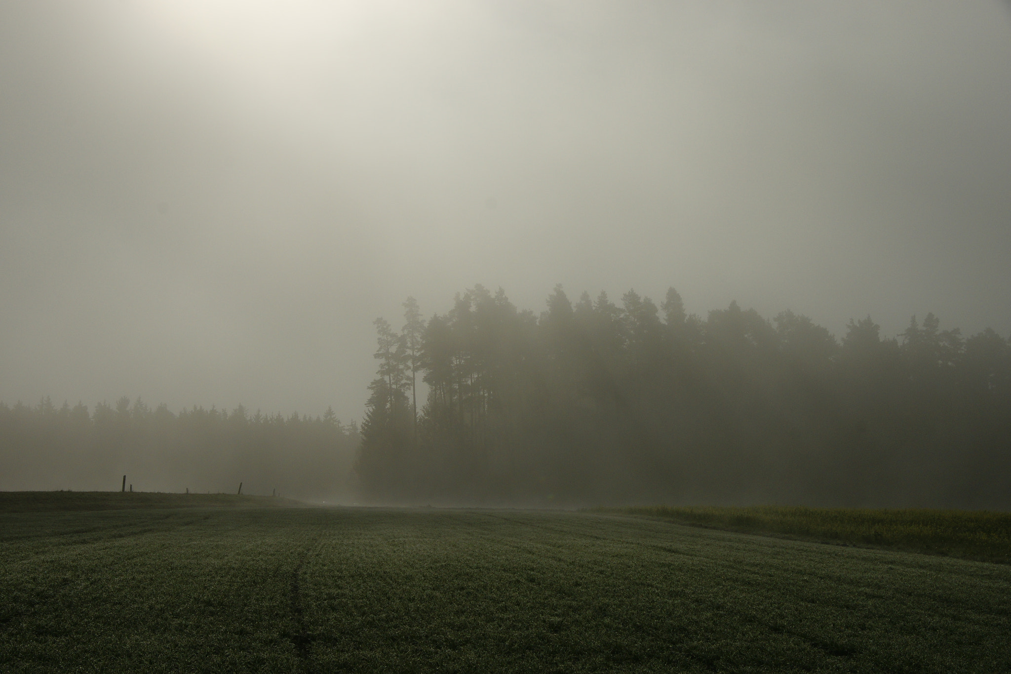 Sony Alpha DSLR-A700 sample photo. Herbst im wald_3 photography