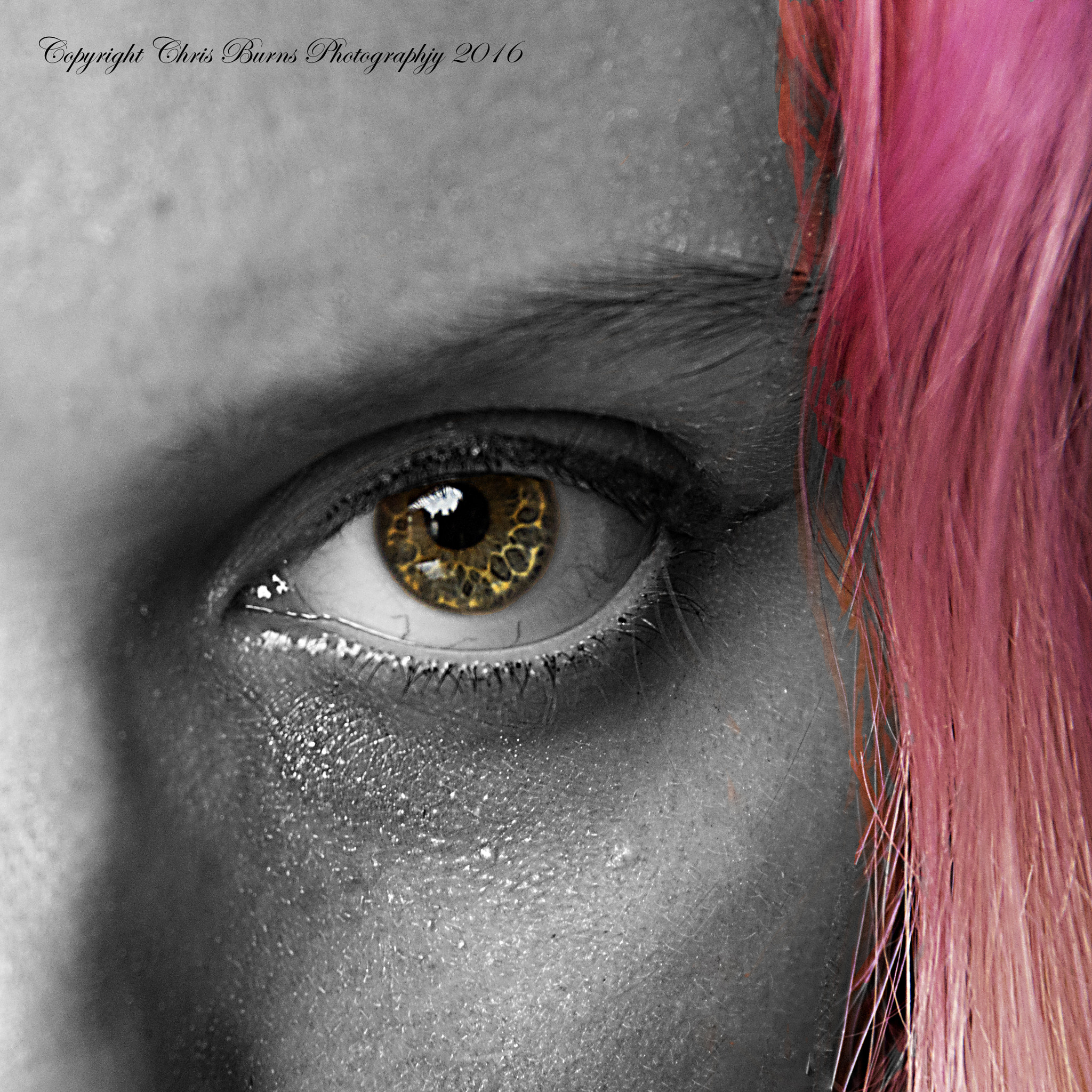 Pentax K-3 II sample photo. Chris burns photography photography