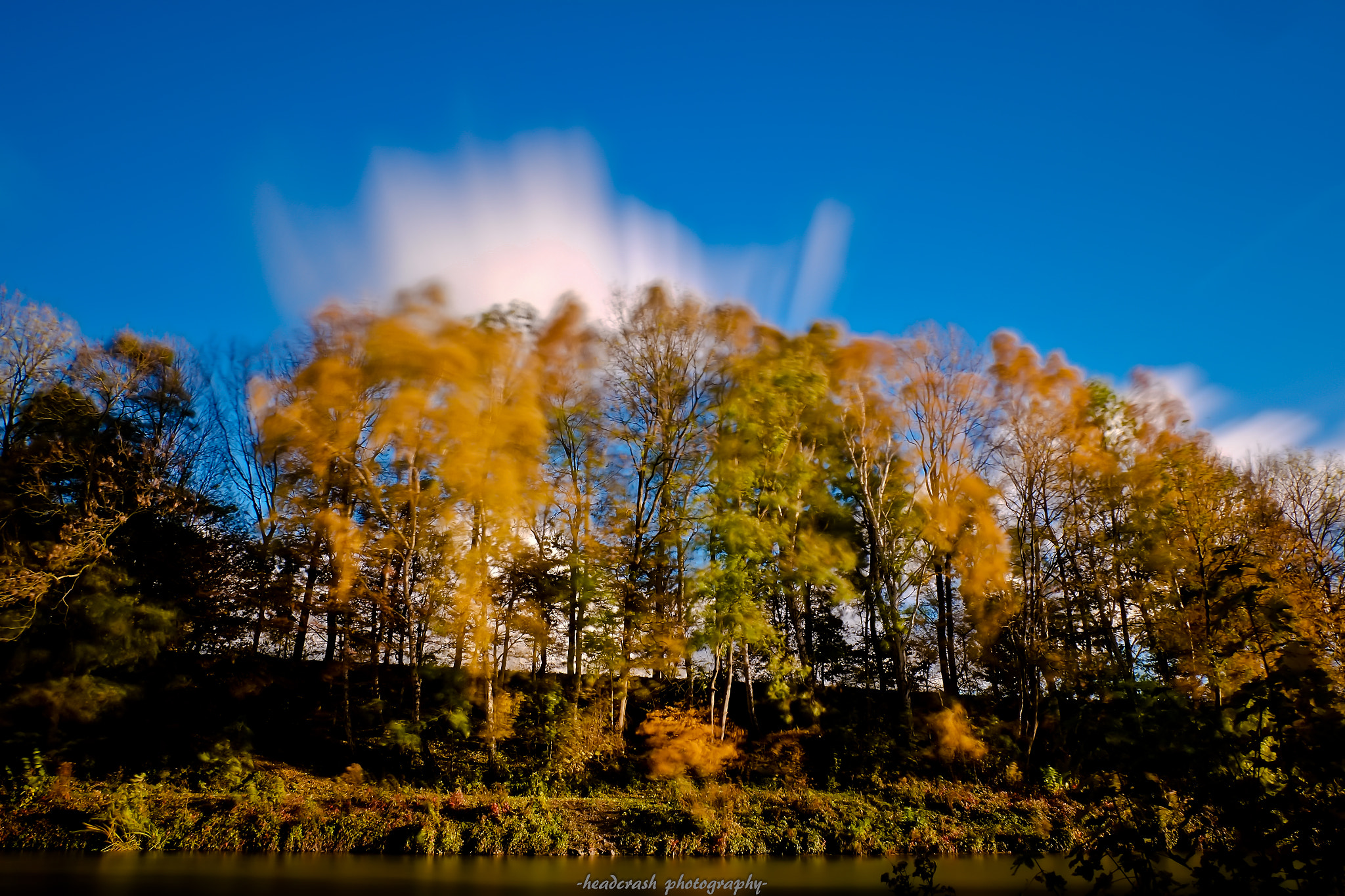 Fujifilm XC 16-50mm F3.5-5.6 OIS II sample photo. Special light photography