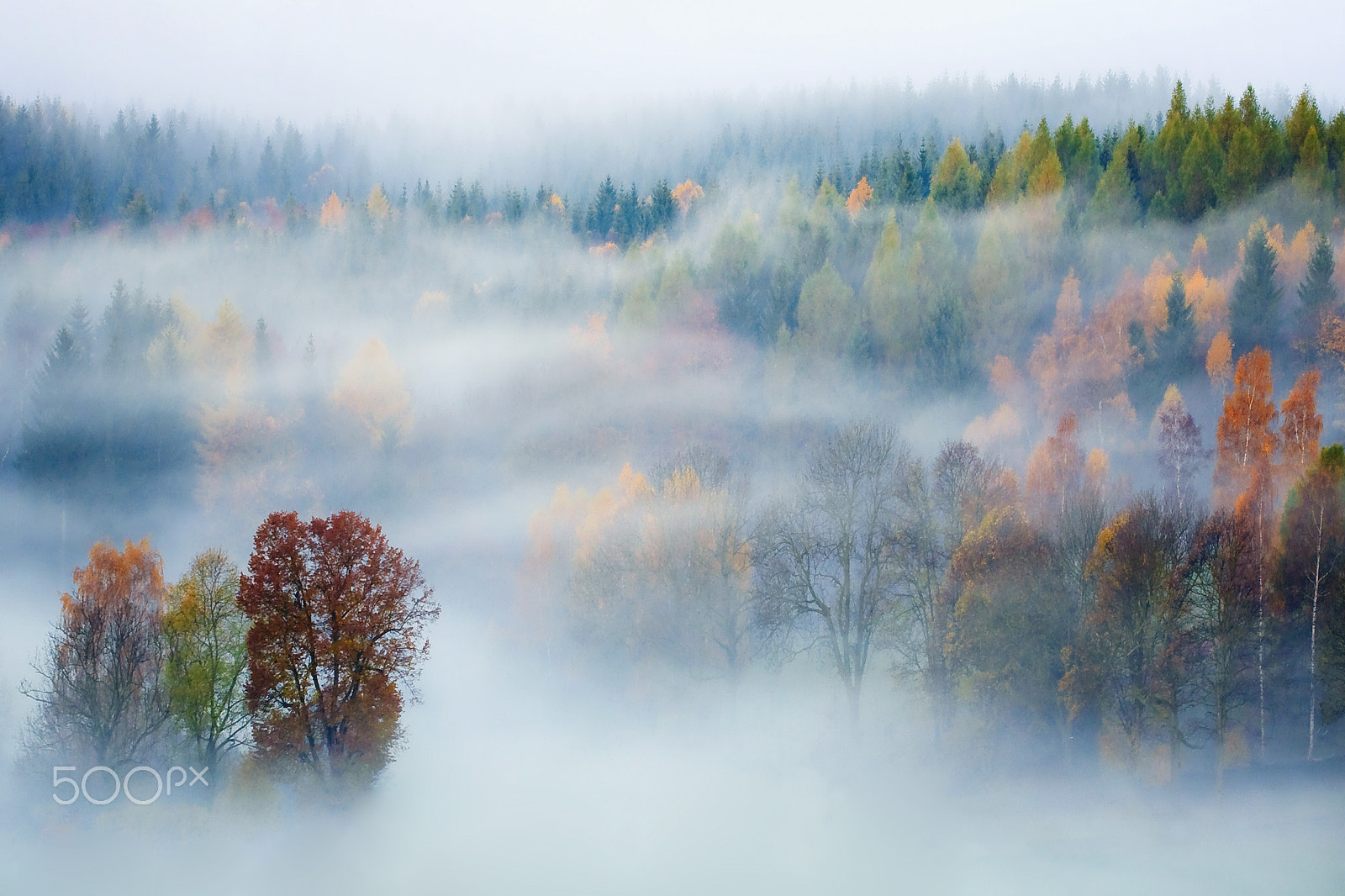 Canon EOS 50D + Canon EF 70-200mm F4L USM sample photo. Autumn photography