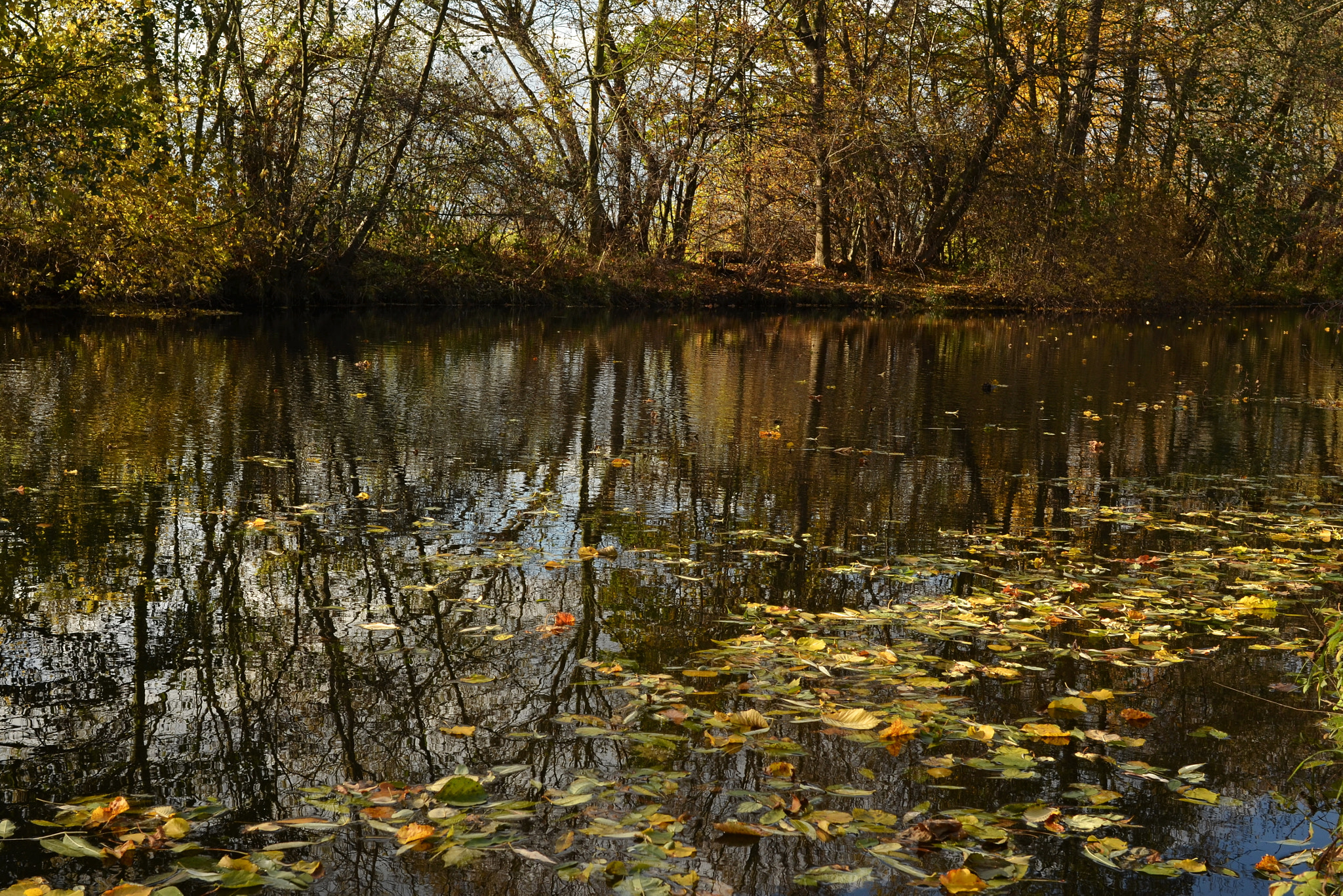 Nikon D5100 + Nikon AF-S Nikkor 28mm F1.8G sample photo. Podzim u vody photography