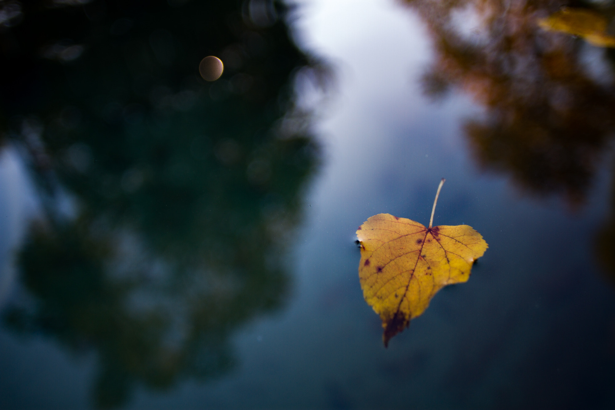 Canon EOS 7D + Canon EF 20mm F2.8 USM sample photo. Drowning photography
