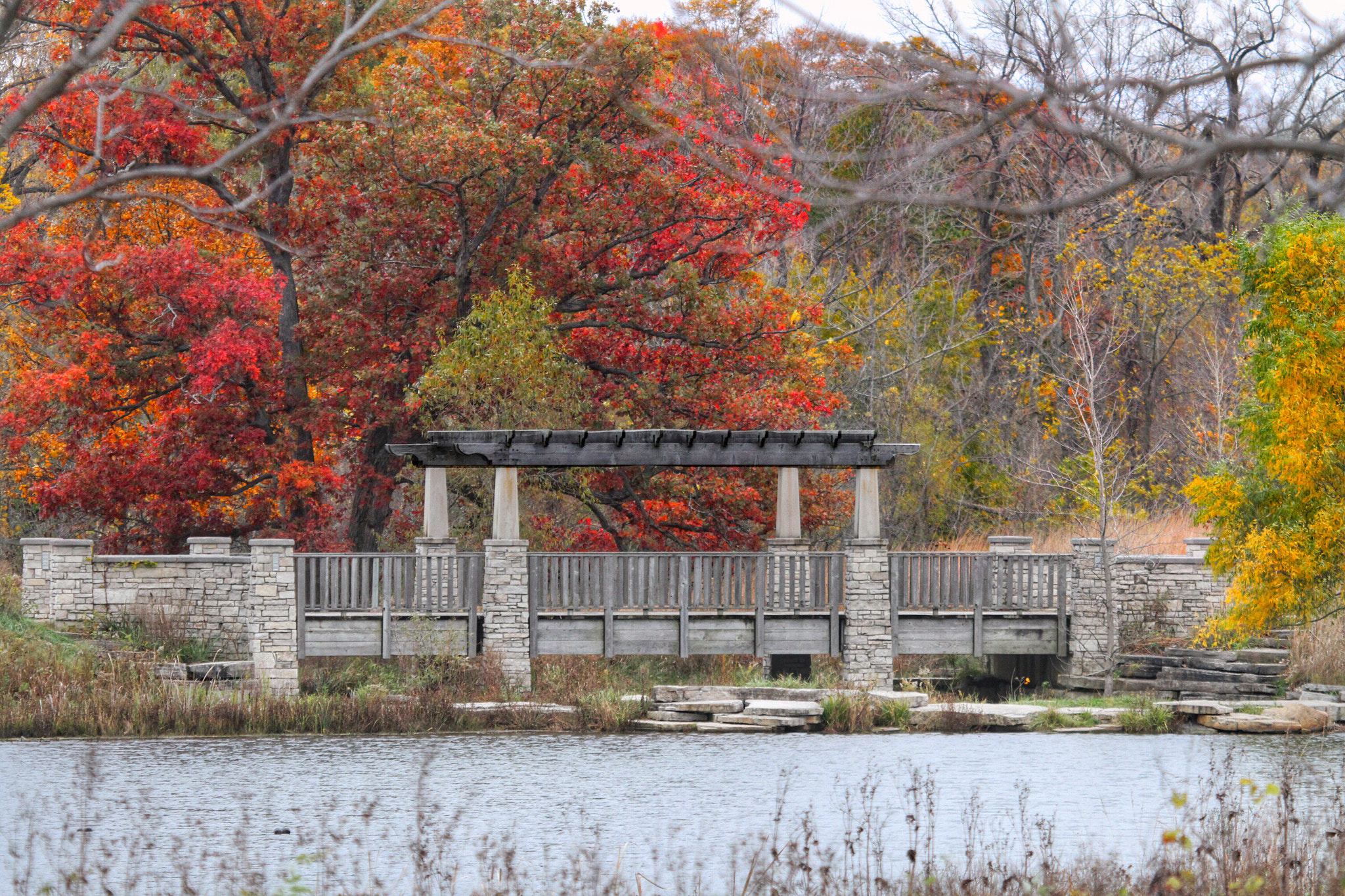 Canon EF 100-400mm F4.5-5.6L IS USM sample photo. Autumn colors photography