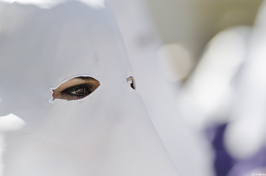 Nikon D7000 + AF Nikkor 180mm f/2.8 IF-ED sample photo. Ojo photography