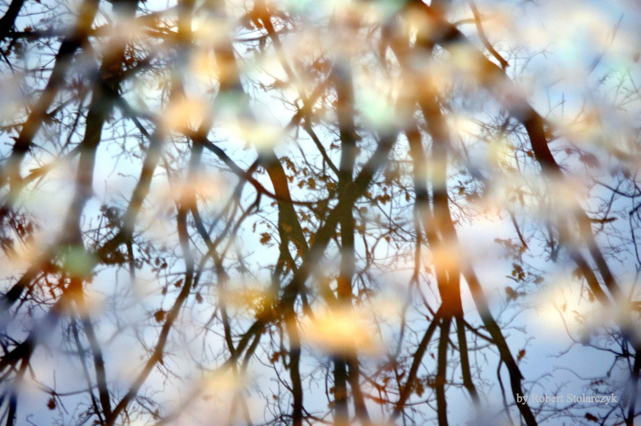 Pentax K-x sample photo. The puddle reflection photography