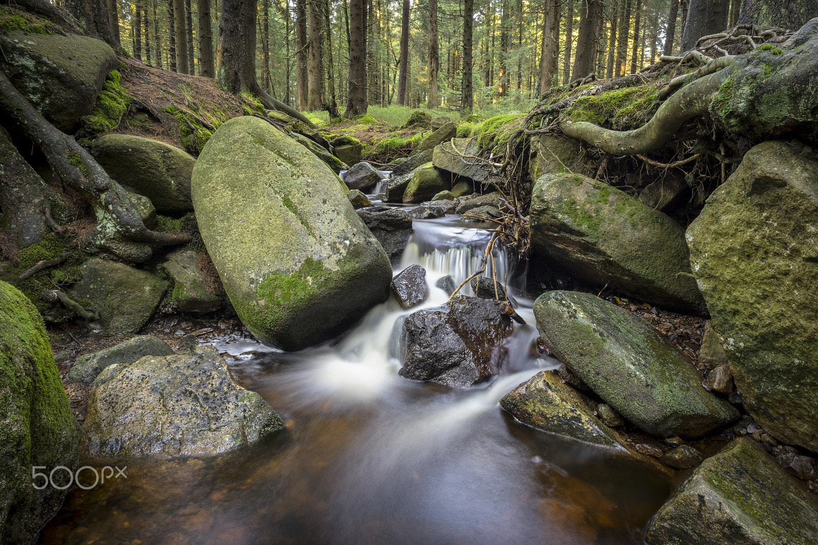 E 21mm F2.8 sample photo. Impressions around the brocken photography