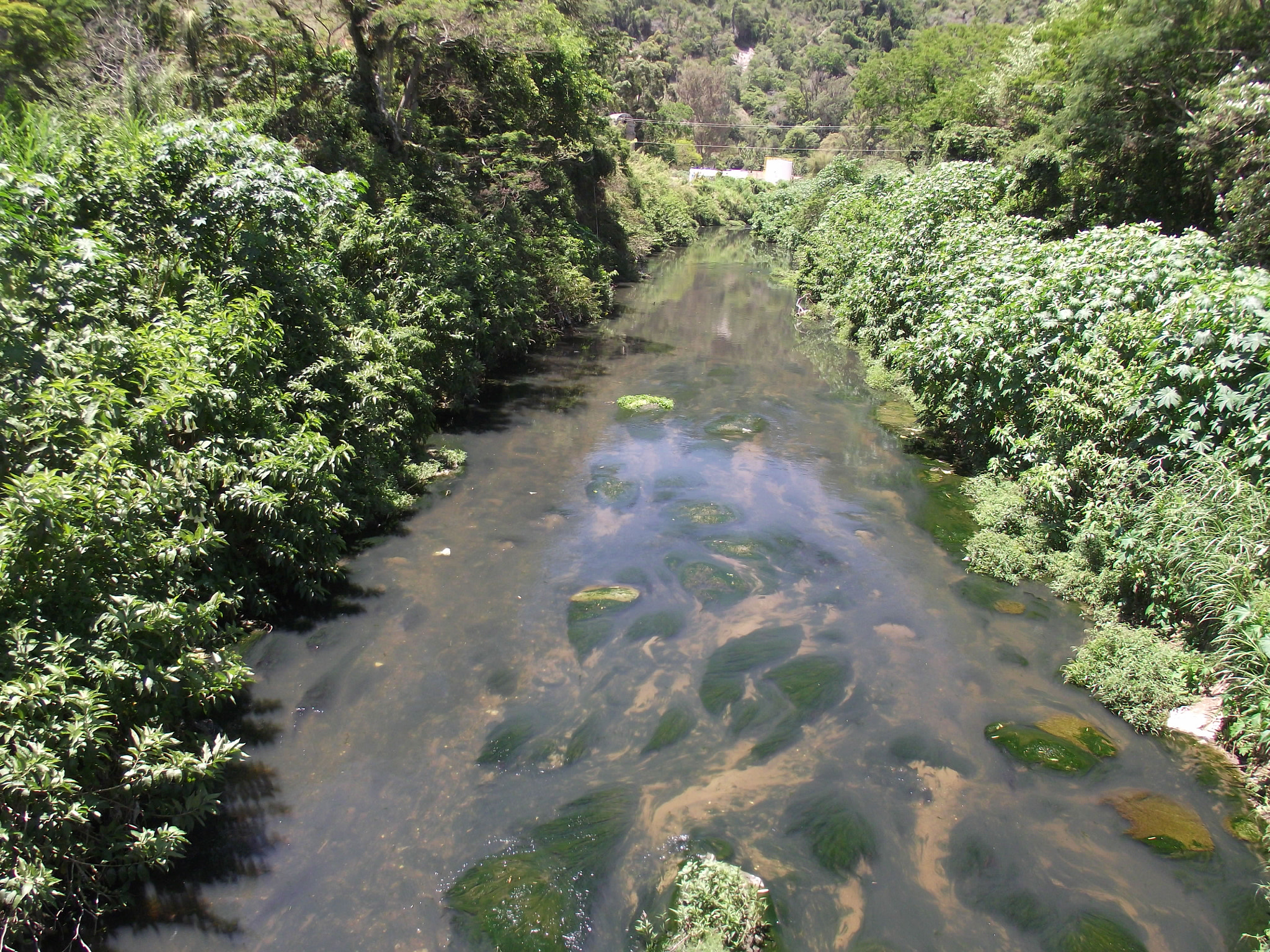 Fujifilm FinePix S2850HD sample photo. The river photography