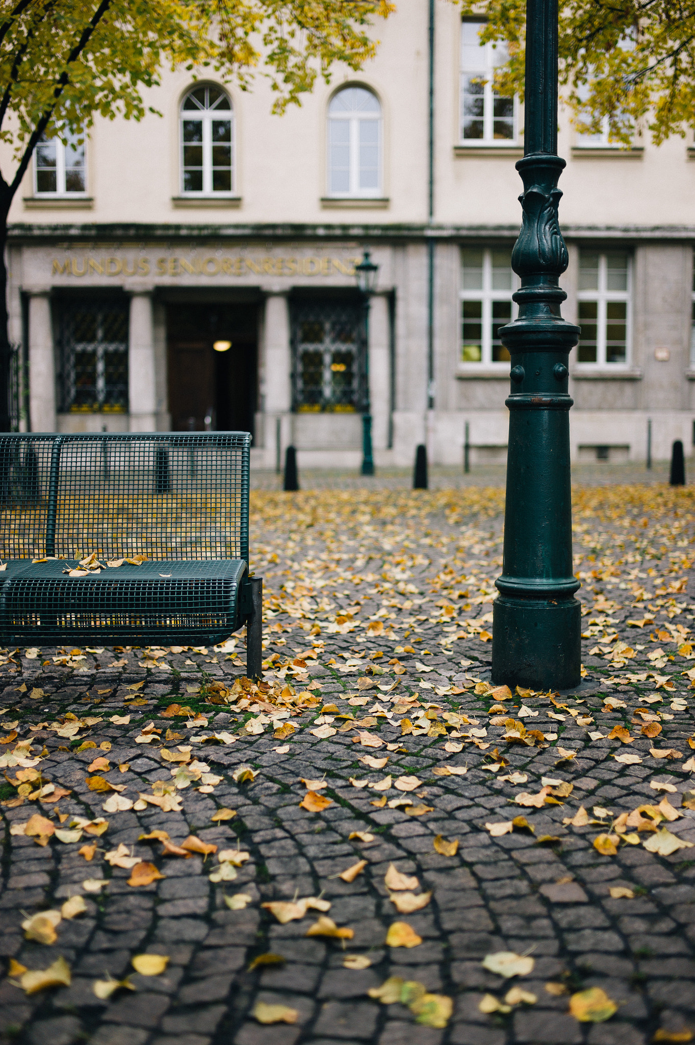 Leica M9 + Leica Summilux-M 35mm F1.4 ASPH sample photo. - photography