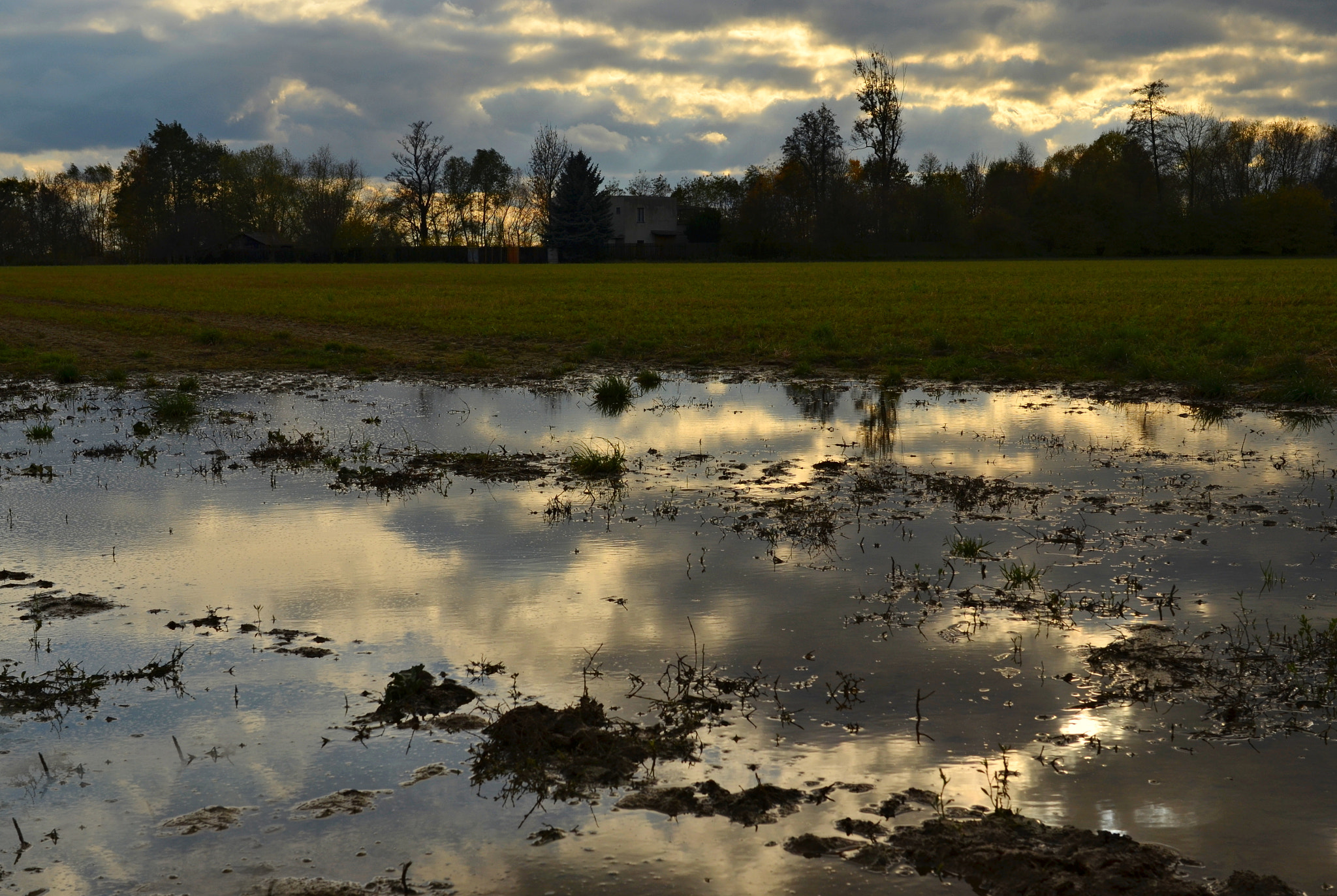 Nikon D5100 + Nikon AF-S Nikkor 28mm F1.8G sample photo. Večerní photography