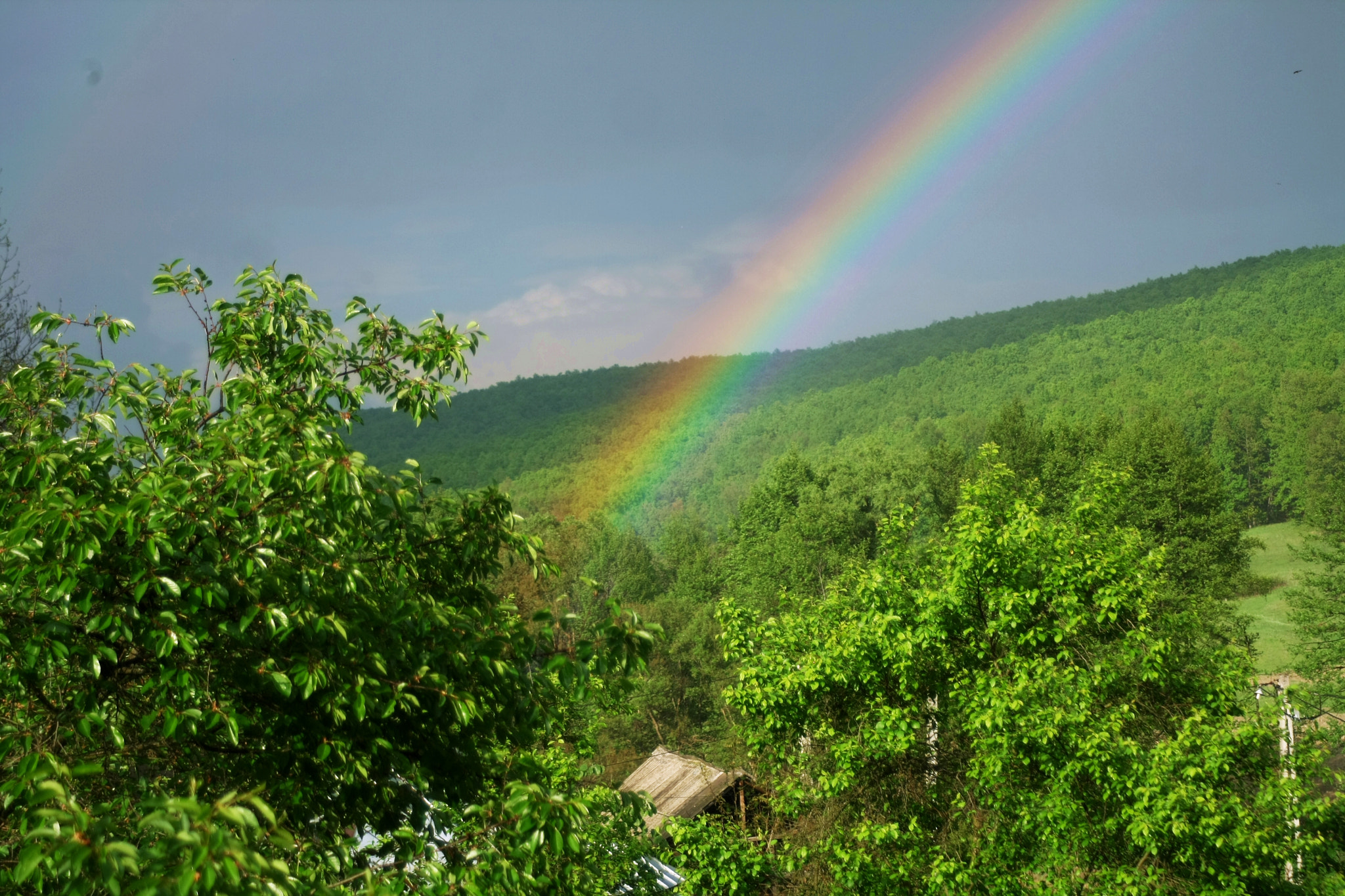 Canon EOS 1000D (EOS Digital Rebel XS / EOS Kiss F) sample photo. The beginning of the rainbow photography