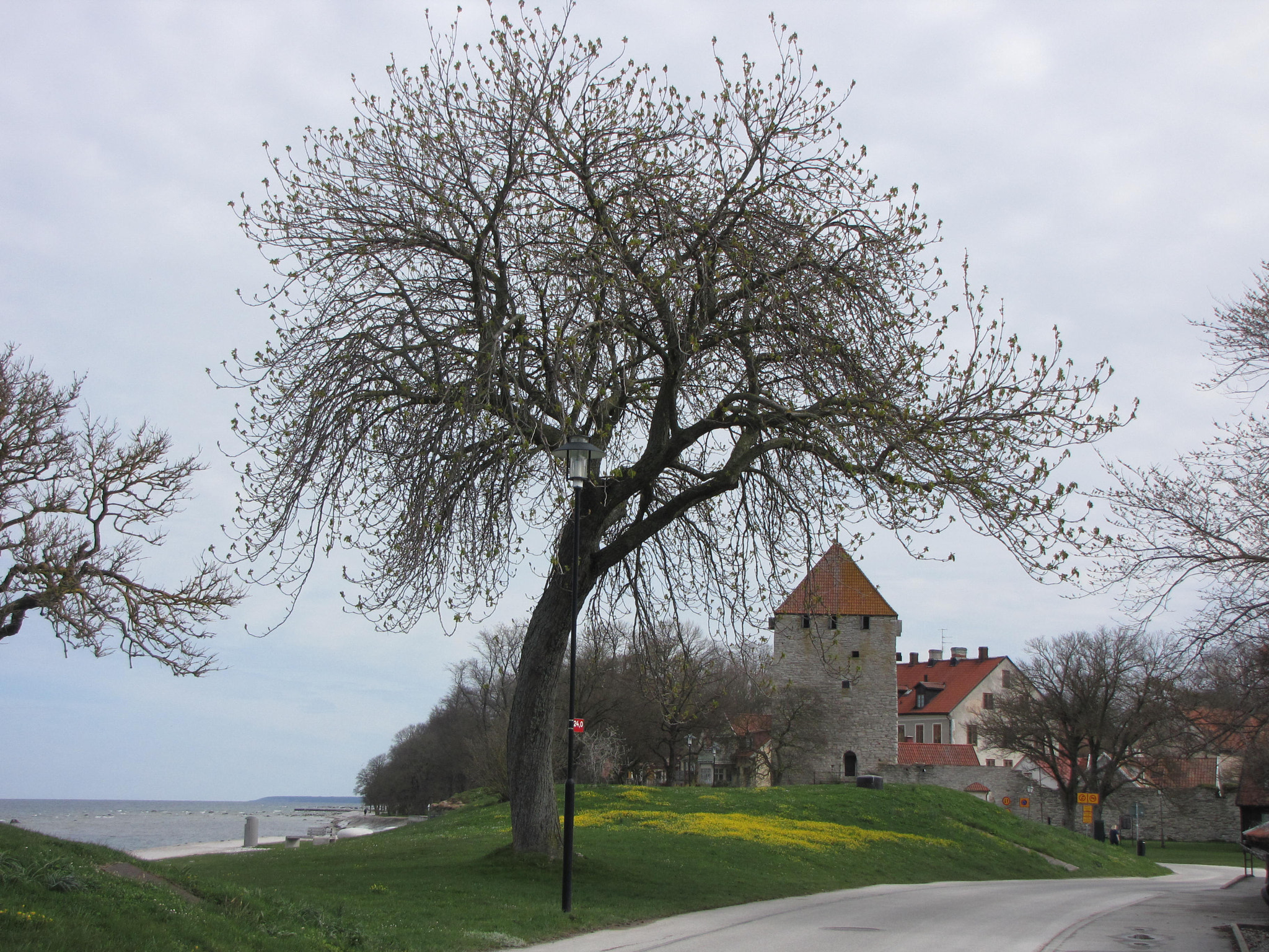 Canon PowerShot SX1 IS sample photo. Visby gotland photography