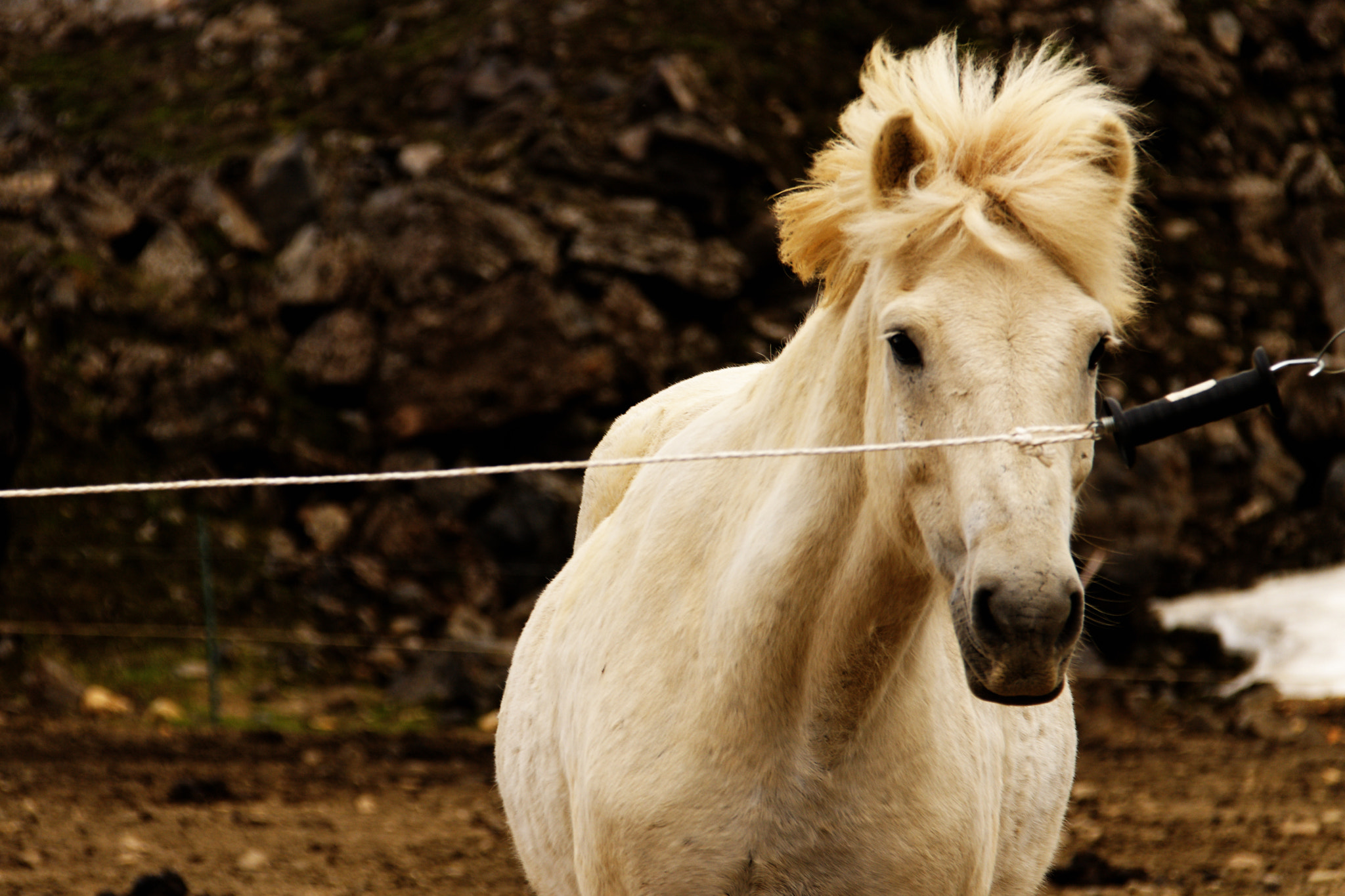Canon EF-S 18-200mm F3.5-5.6 IS sample photo. Iceland photography