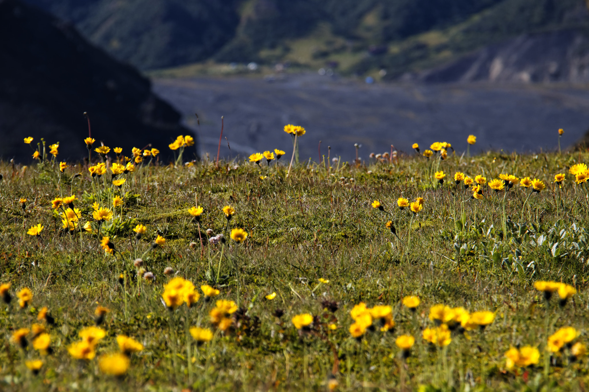 Canon EF-S 18-200mm F3.5-5.6 IS sample photo. Iceland photography