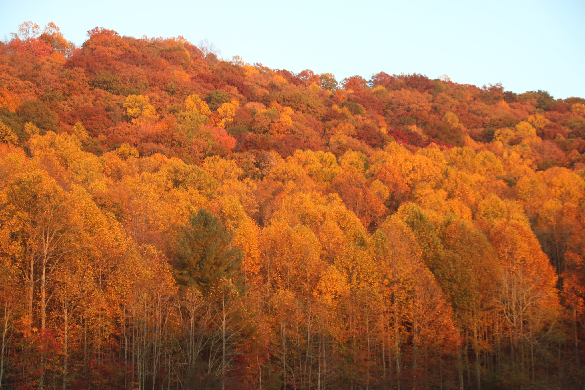 Canon EF 75-300mm F4.0-5.6 IS USM sample photo. Sunset on the fall colors photography