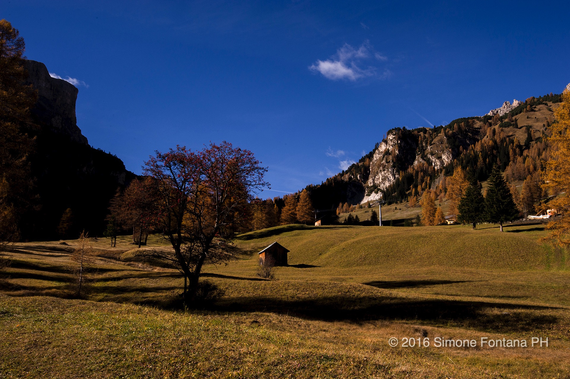 Tamron SP 15-30mm F2.8 Di VC USD sample photo. Boschi autunnali photography