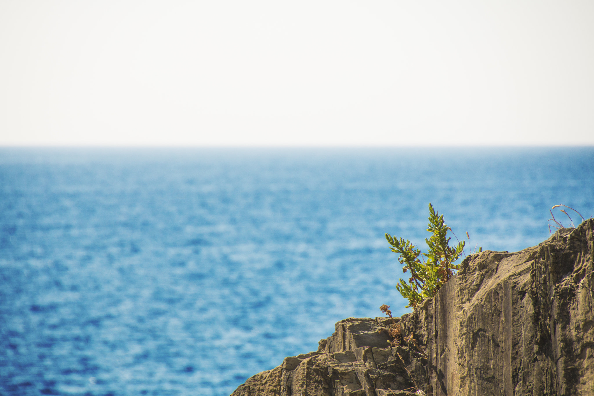 Canon EOS 760D (EOS Rebel T6s / EOS 8000D) sample photo. The cliff photography