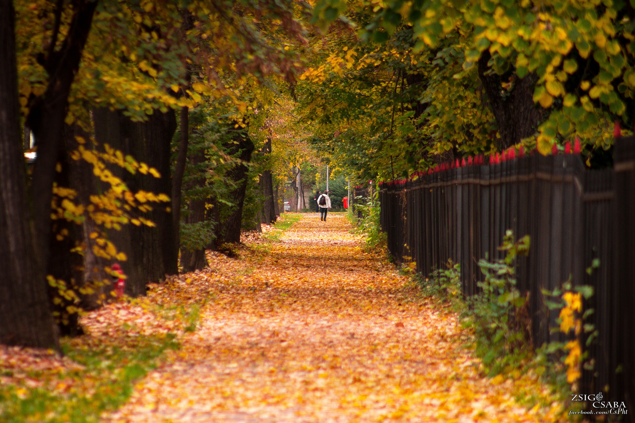 Canon EF 75-300mm f/4-5.6 USM sample photo. Autumnfall photography