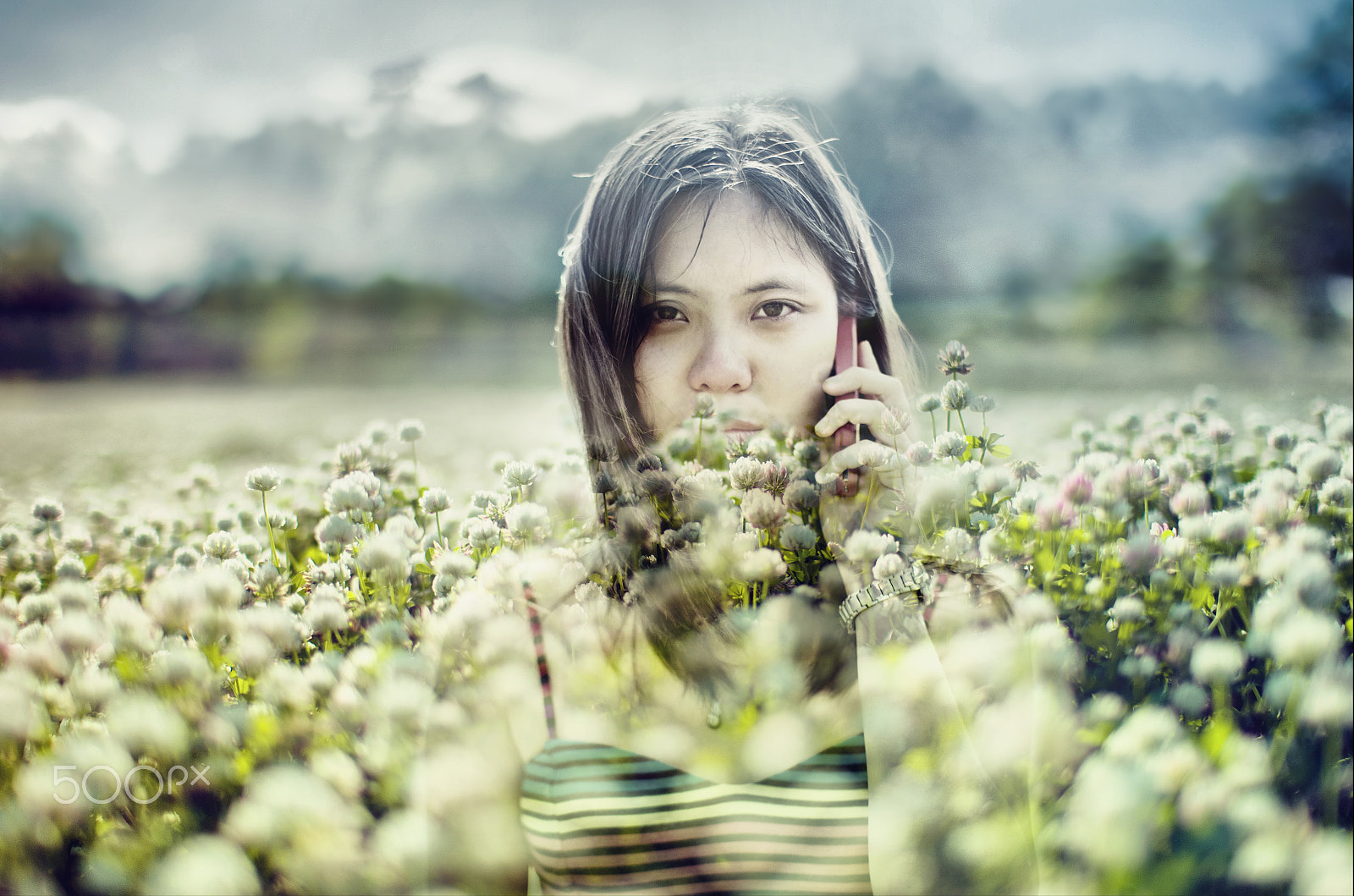 Pentax K-5 + Sigma sample photo. Flowers can not speak photography