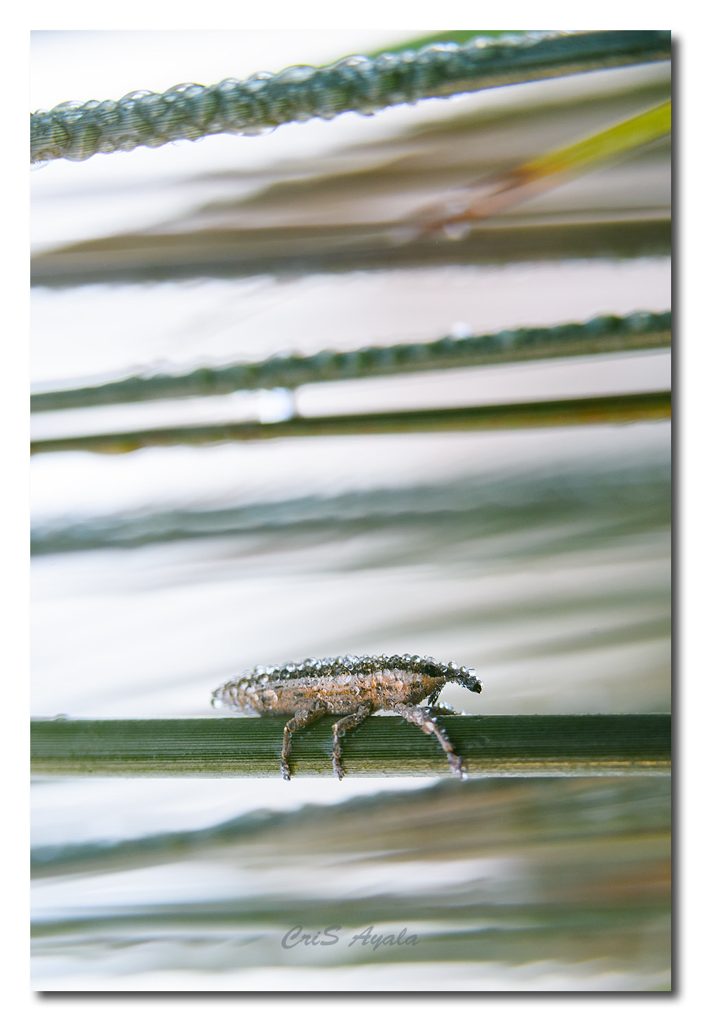 Nikon D4 sample photo. With wet clothing... photography