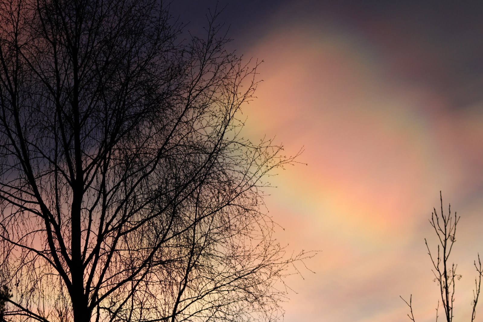 Sigma 70-300mm F4-5.6 APO DG Macro sample photo. Northlight norway photography