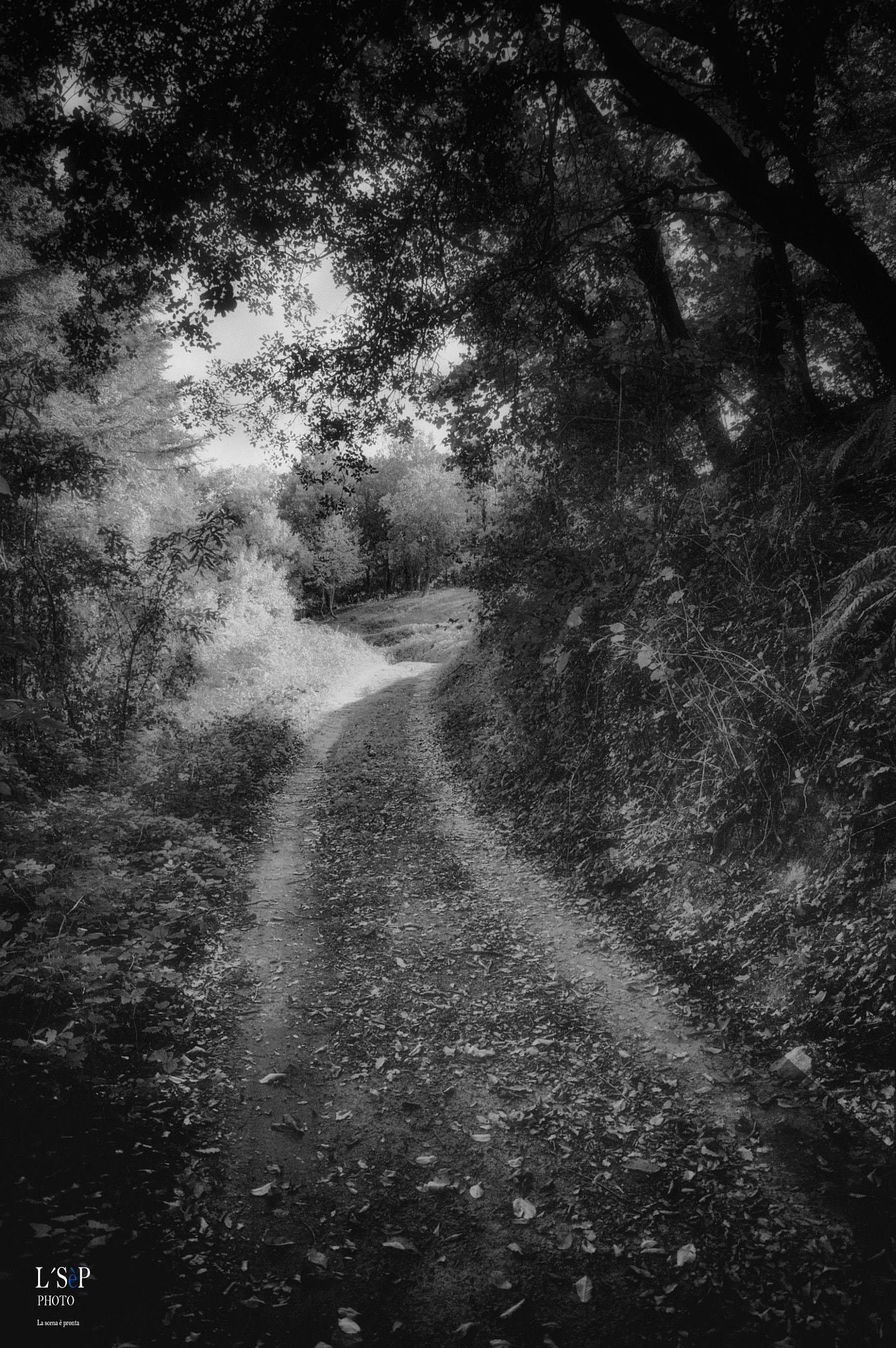 Nikon D3S sample photo. Espinelves photography