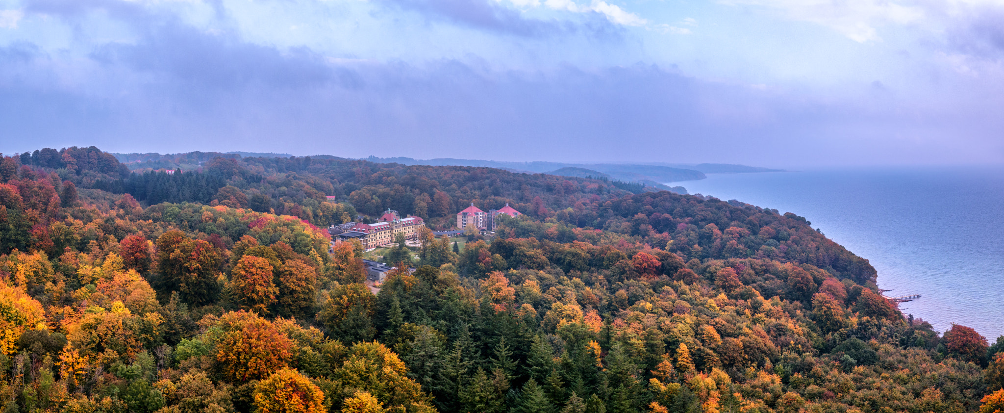 DJI FC550 sample photo. Autumn forest colors photography
