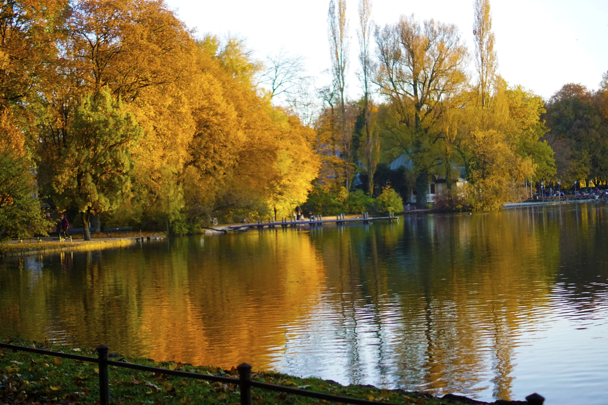 Sony a6000 + Sony DT 50mm F1.8 SAM sample photo. Kleinhesseloher see im englischen garten photography